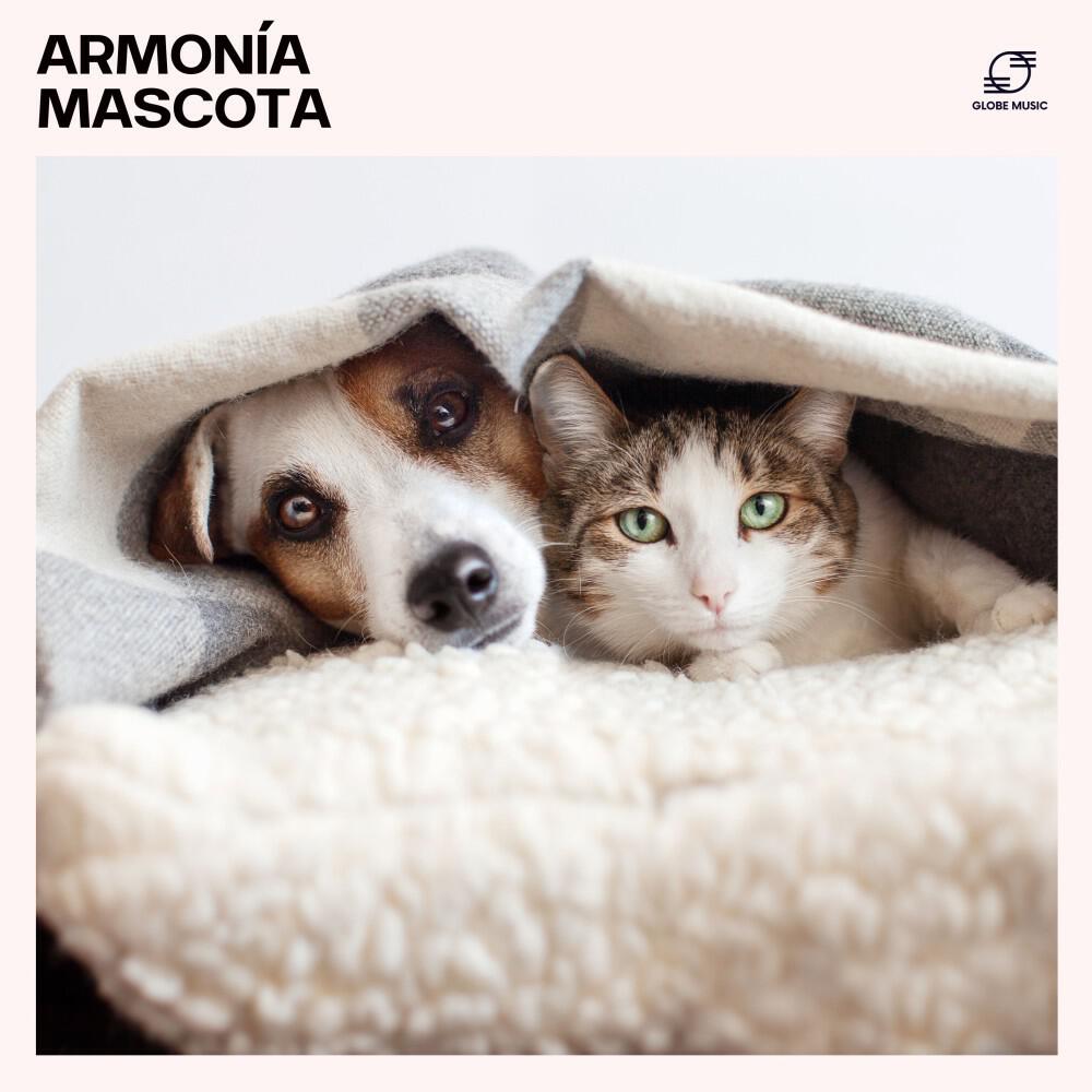 Релиз Armonía Mascota