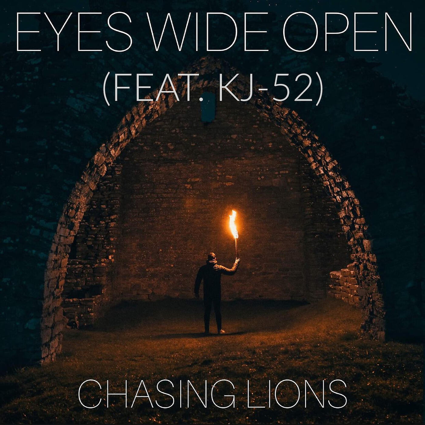 Chasing Lions
