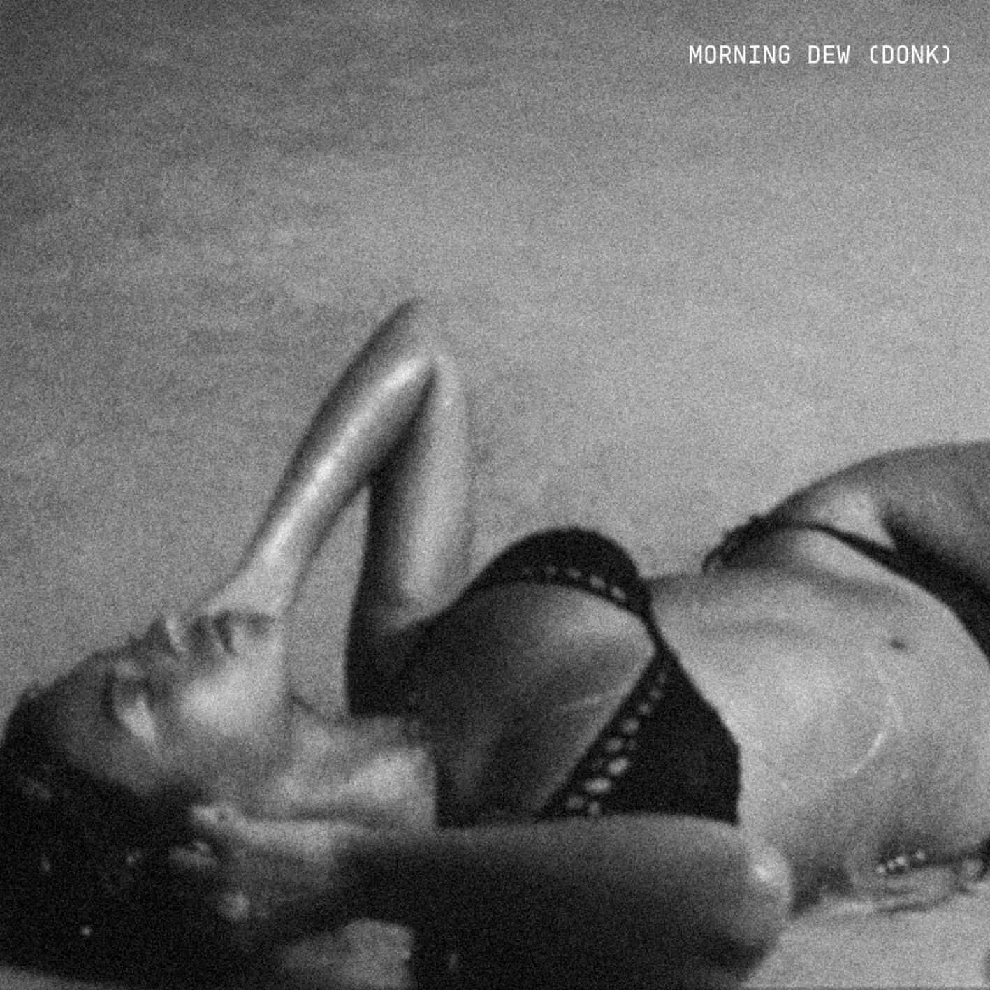 Релиз MORNING DEW (DONK)