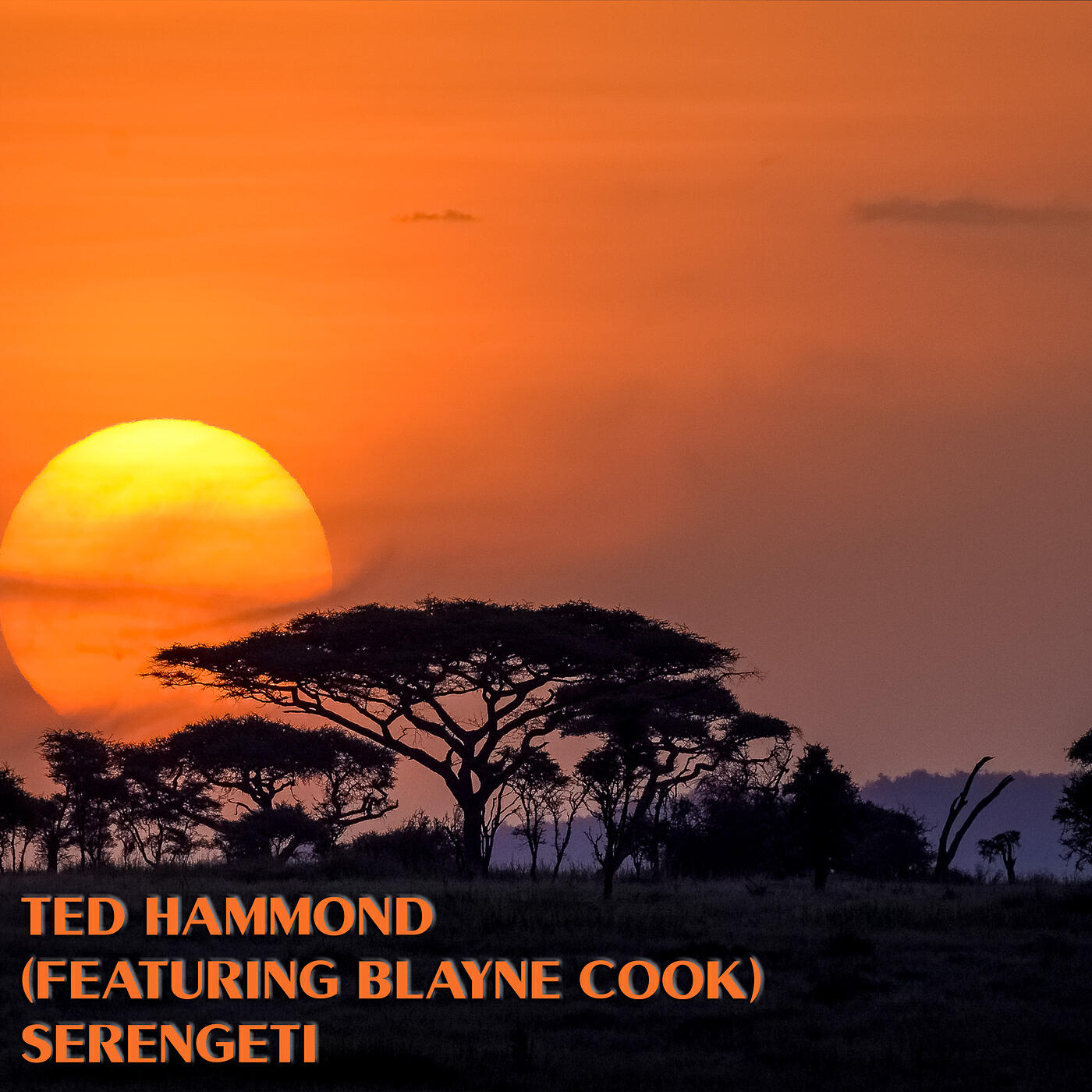Blayne Cook