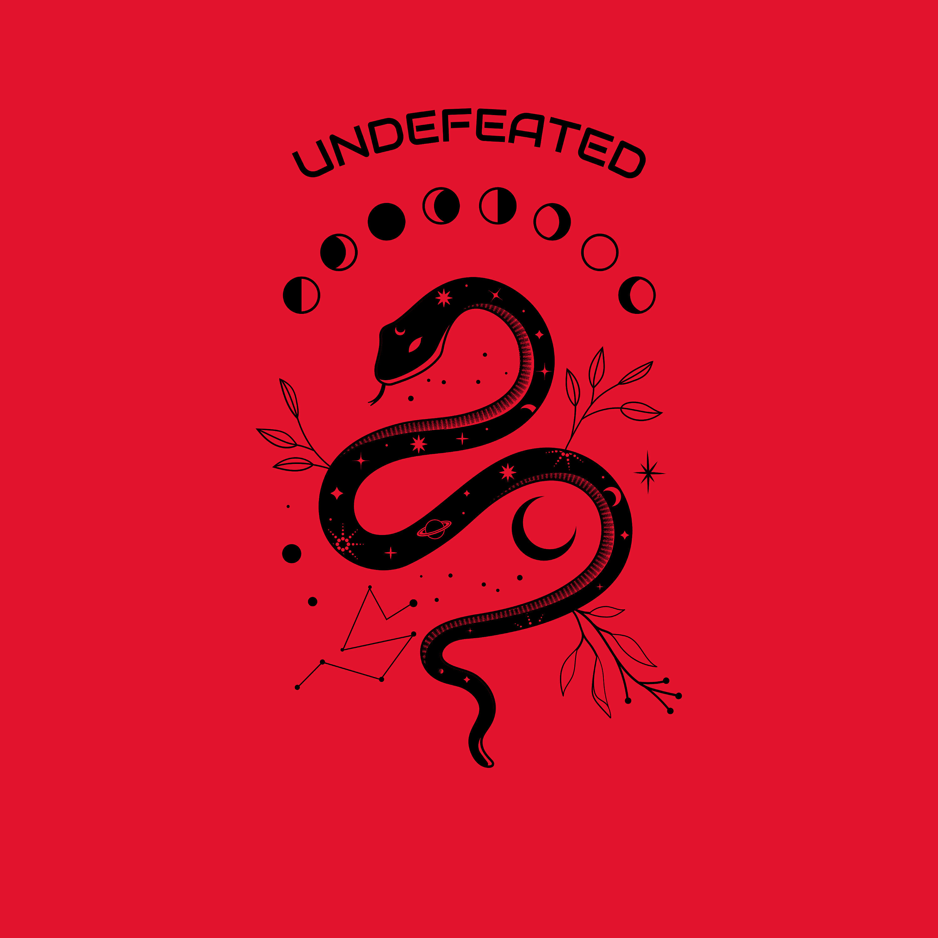 Релиз Undefeated