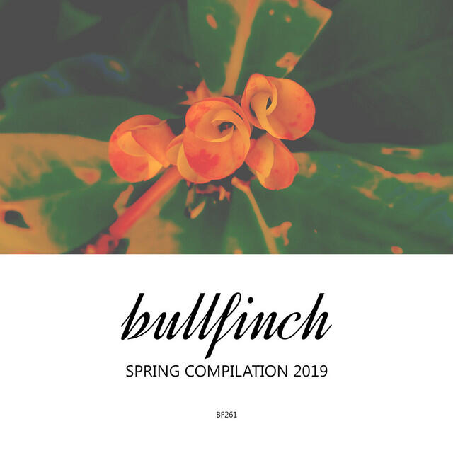 Релиз Bullfinch Spring 2019 Compilation