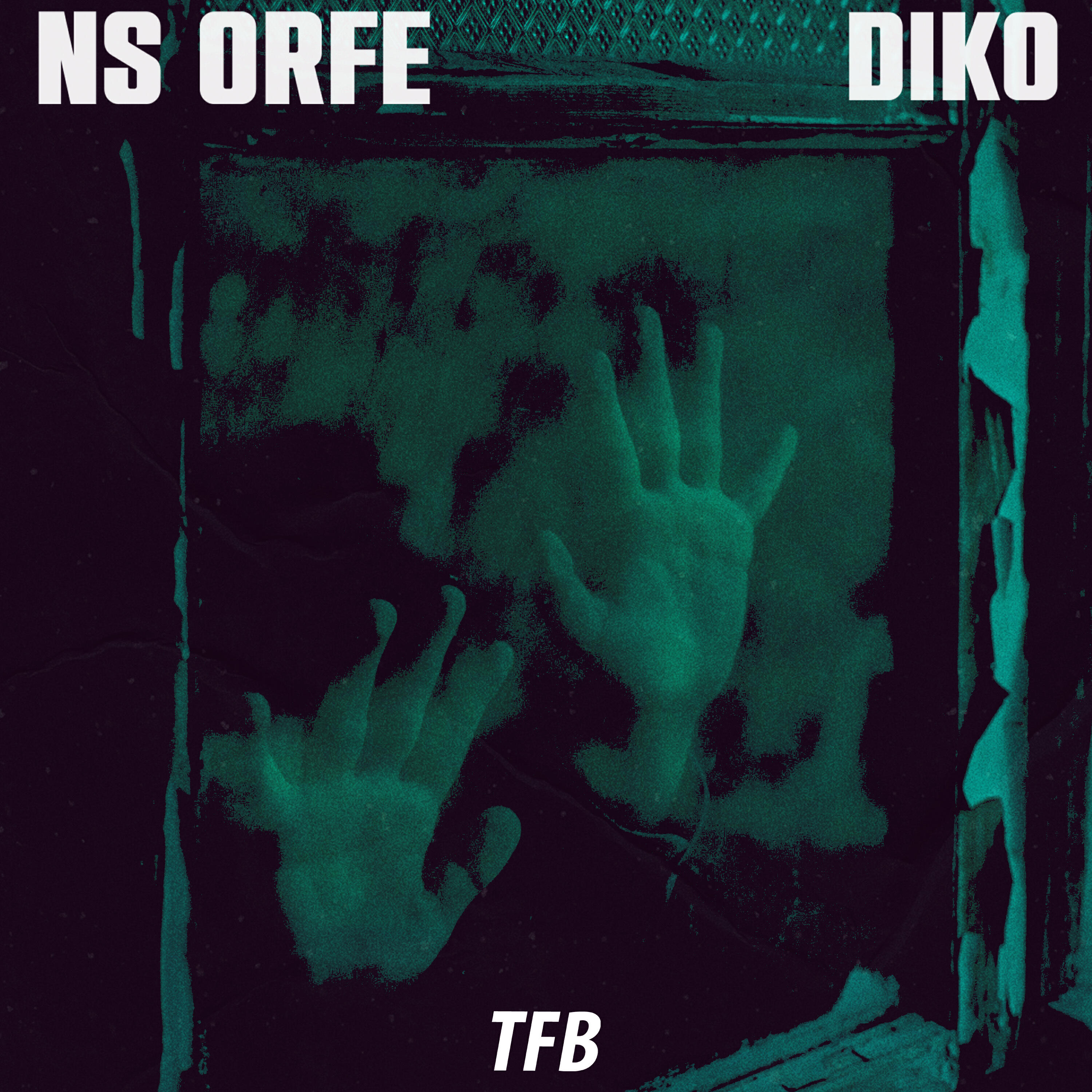 NS Orfe