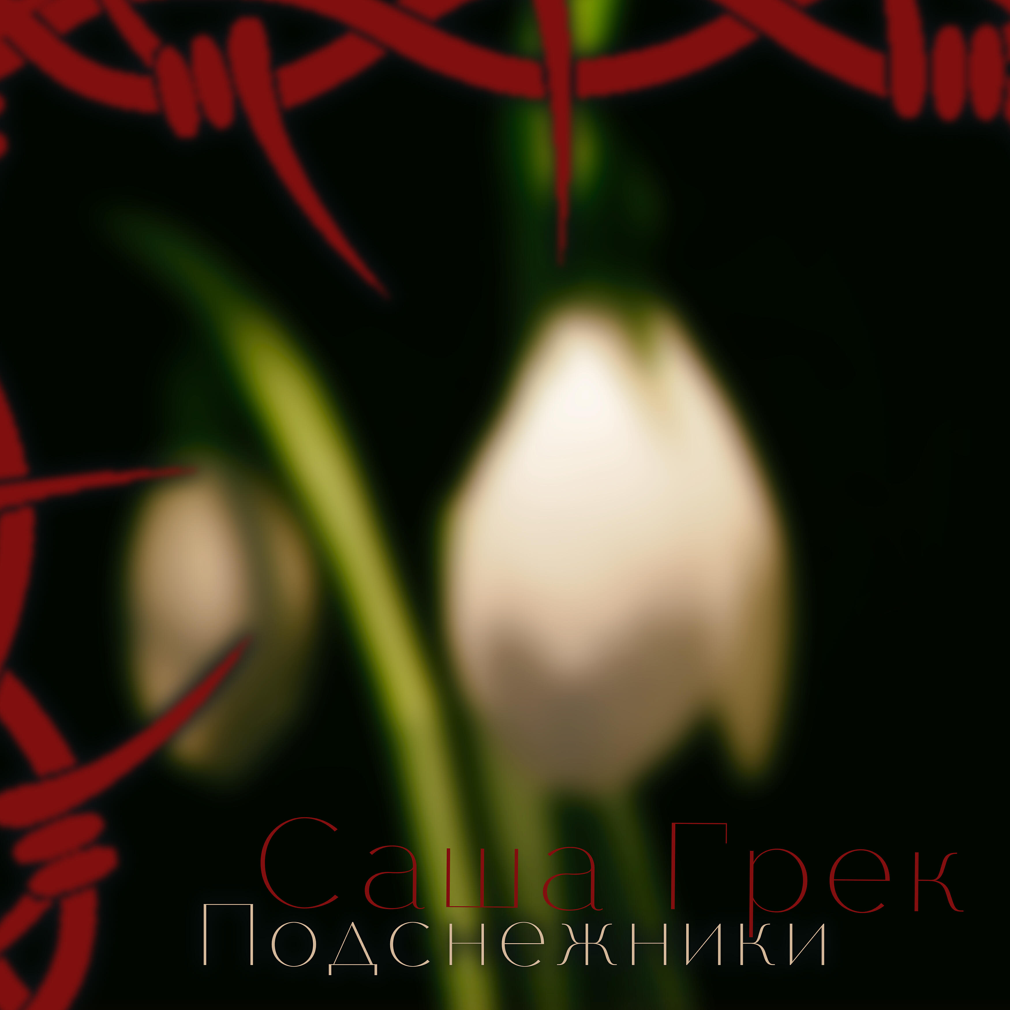 Релиз Подснежники