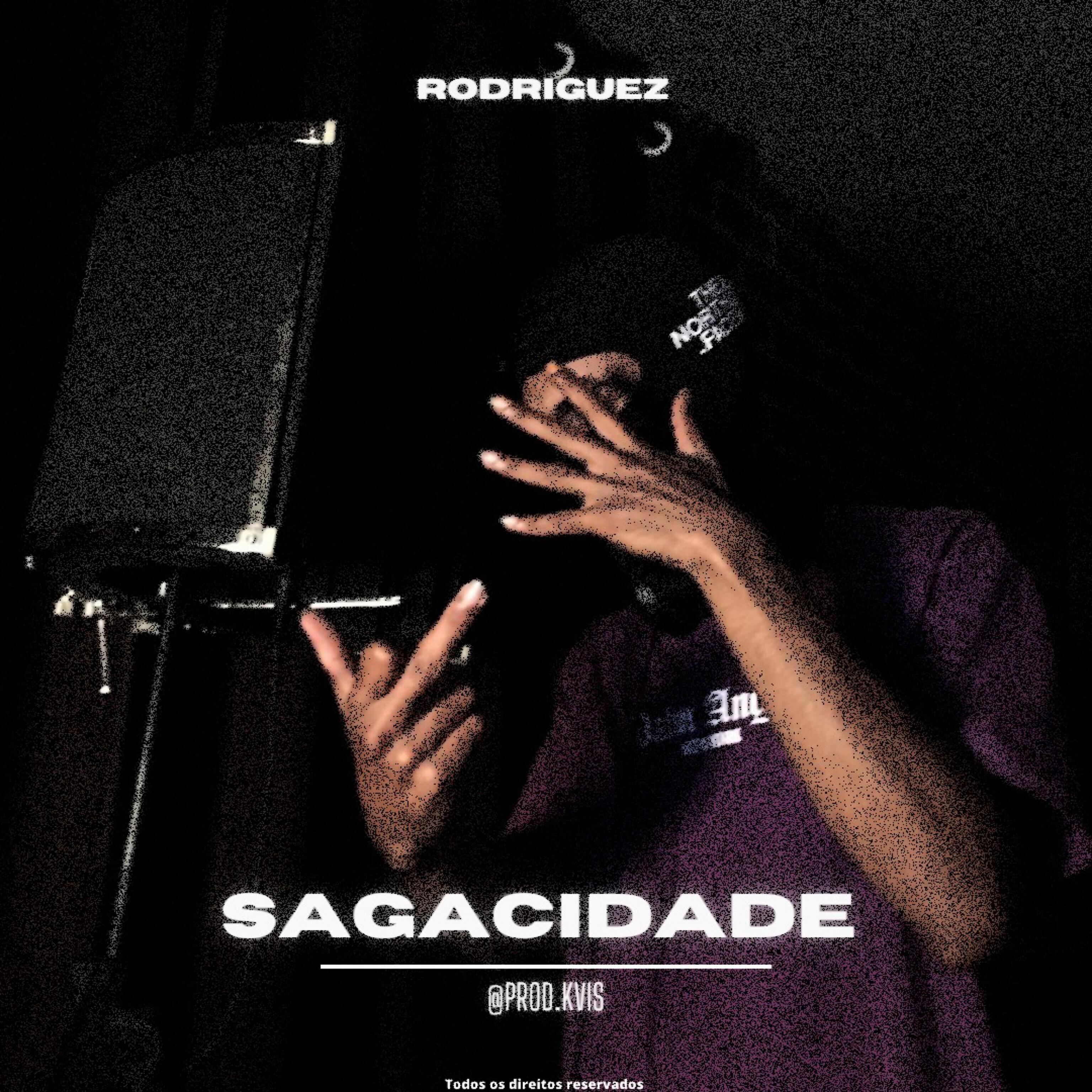 Релиз Sagacidade
