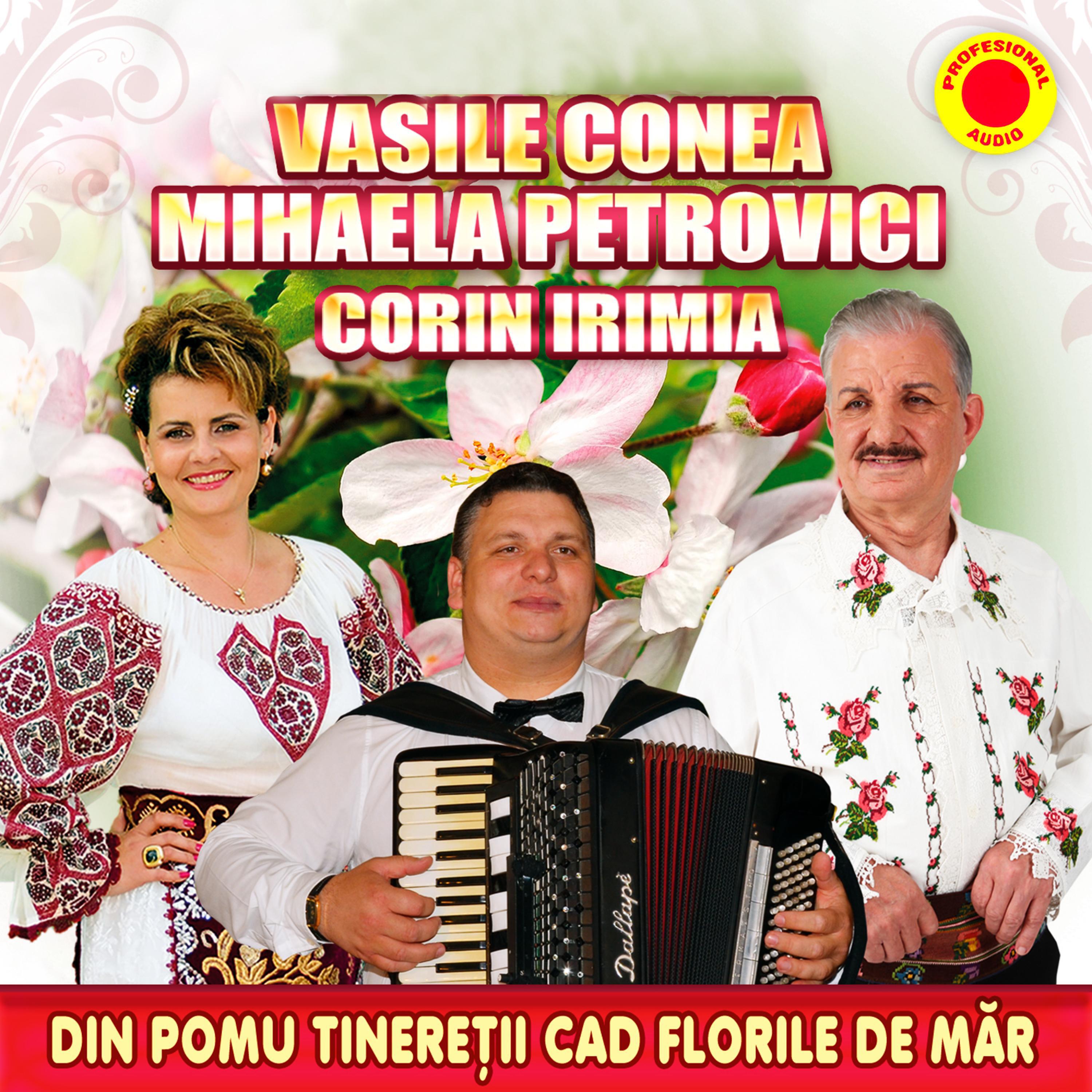 Релиз Din pomul tineretii cad florile de mar
