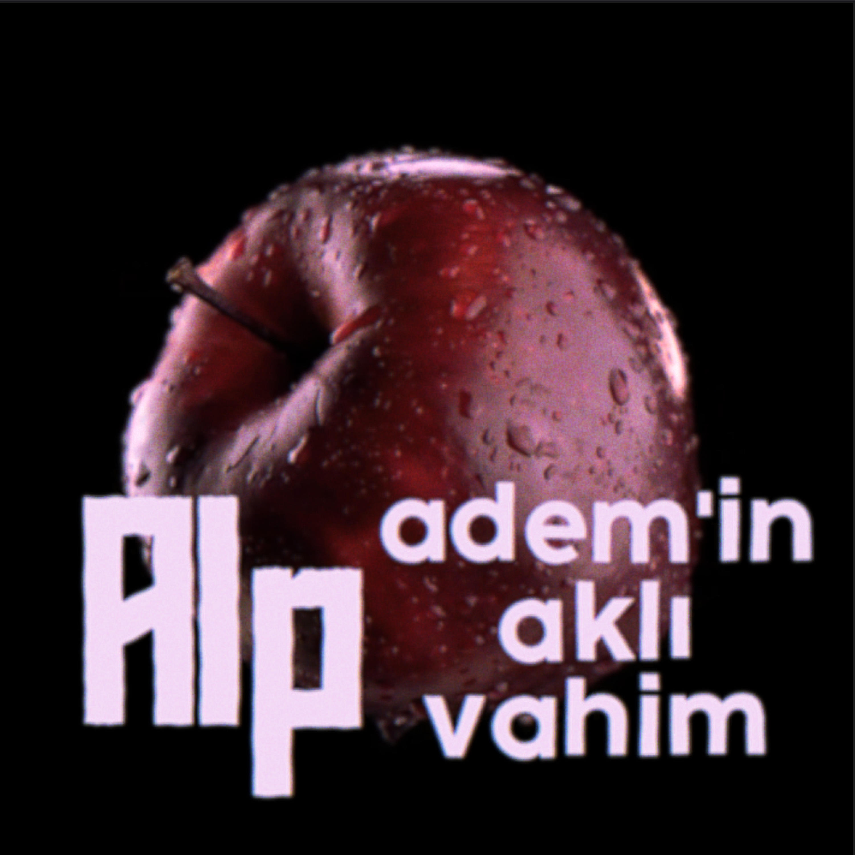Постер альбома Adem'in Aklı Vahim