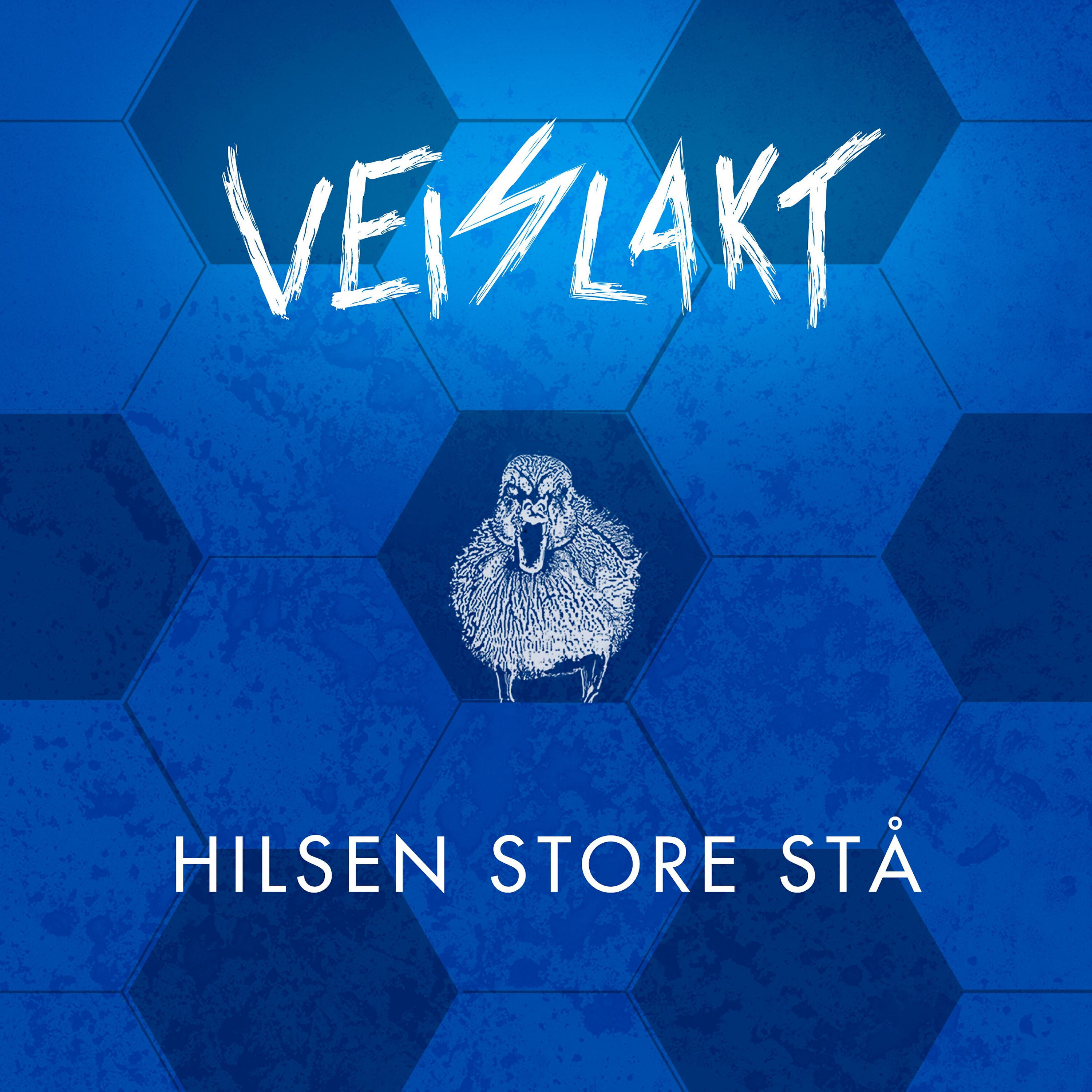 Релиз Hilsen Store Stå