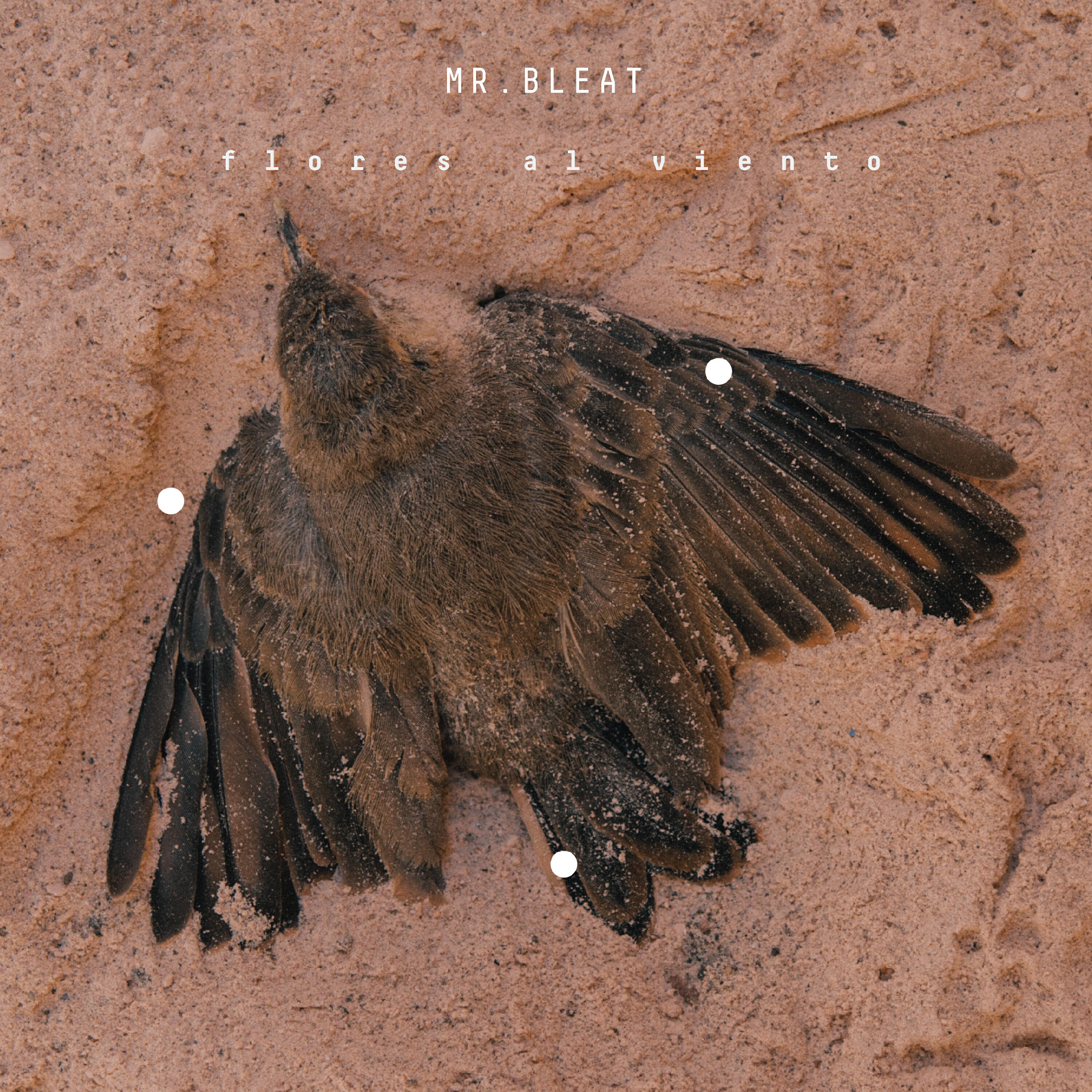 Релиз Flores al Viento