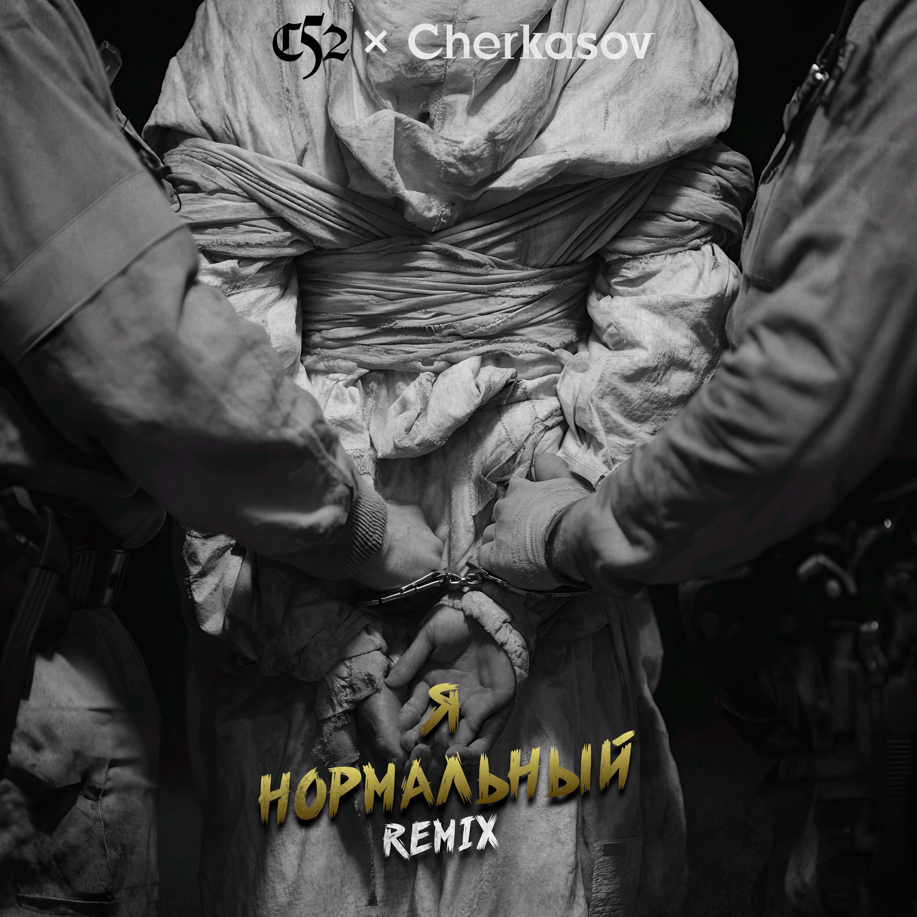 Трек Я нормальный (Remix)