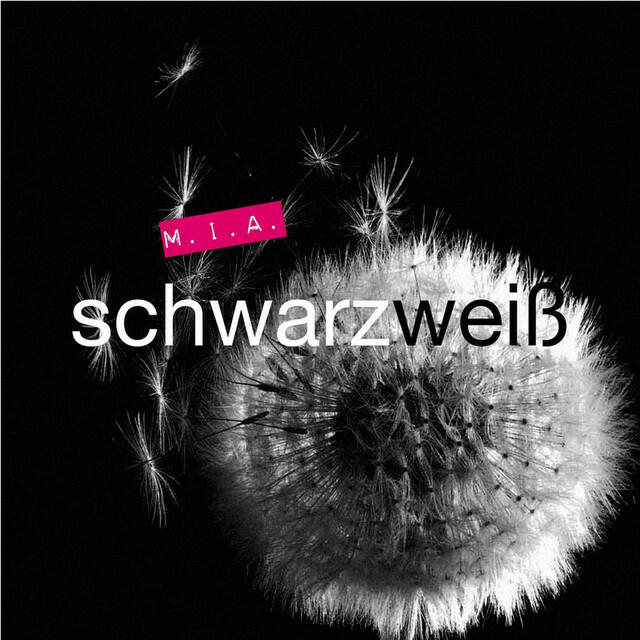 Релиз Schwarzweiss