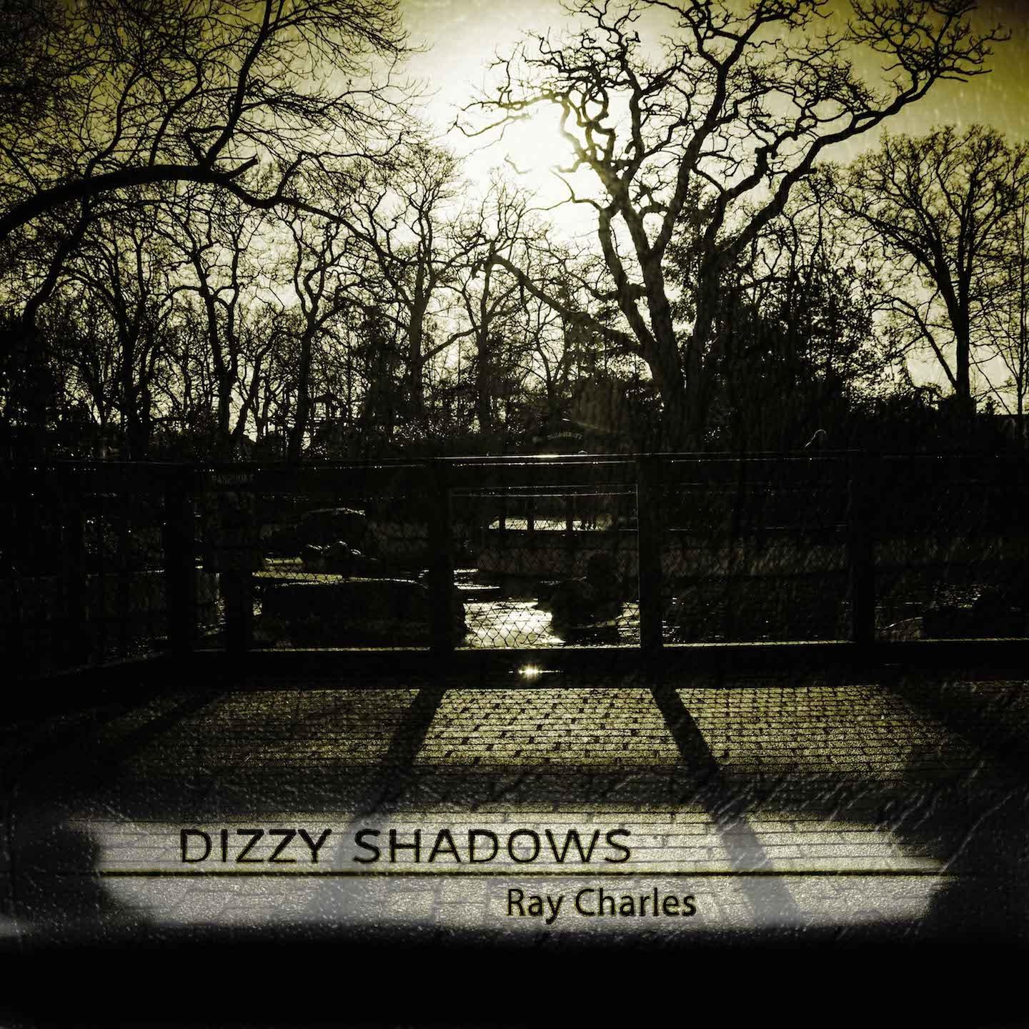 Релиз Dizzy Shadows