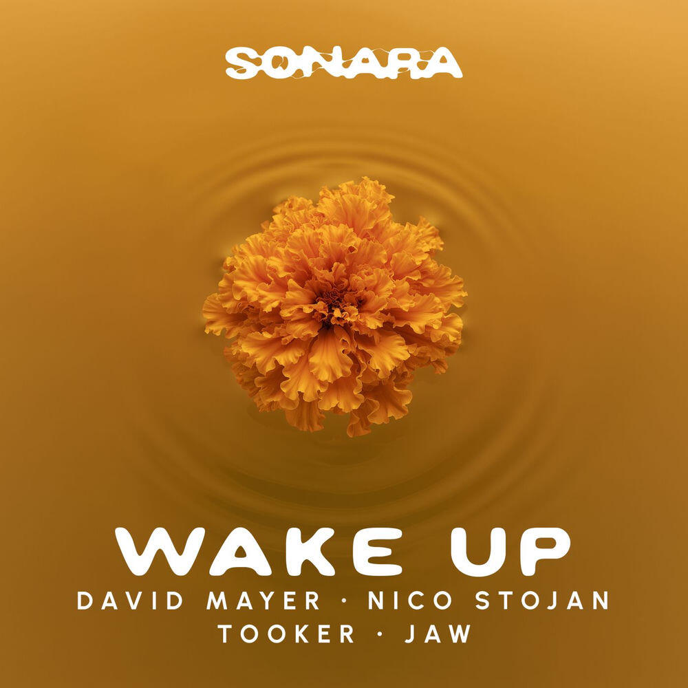 Релиз Wake Up