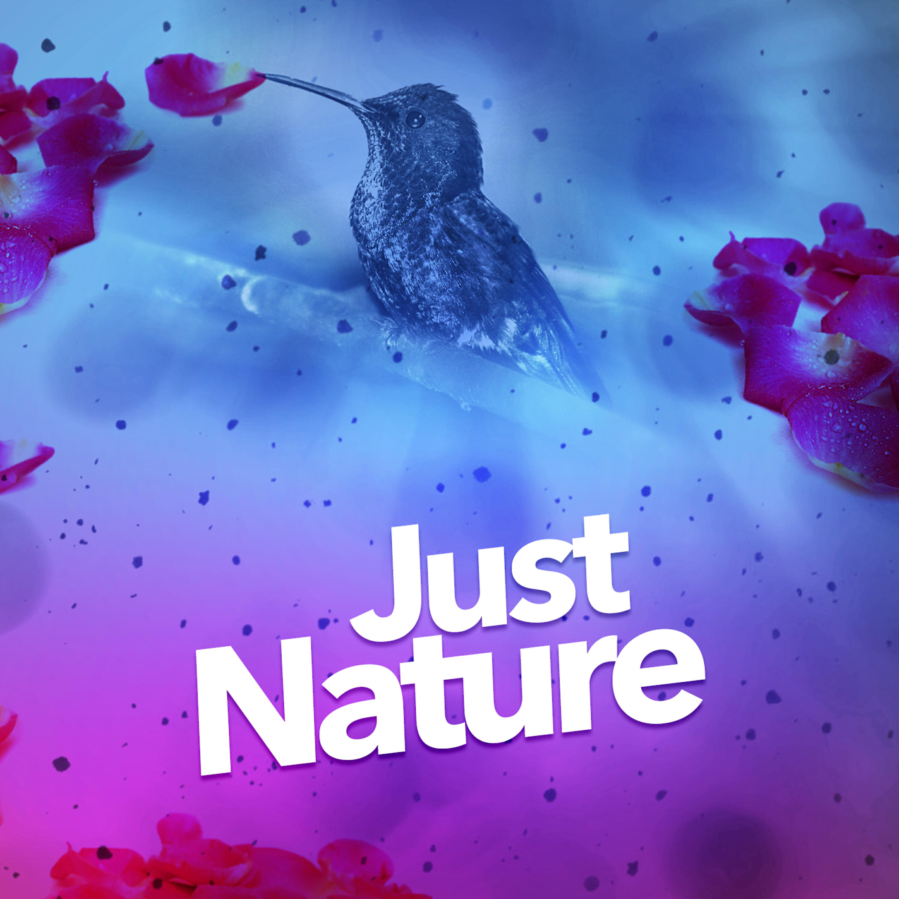 Релиз Just Nature