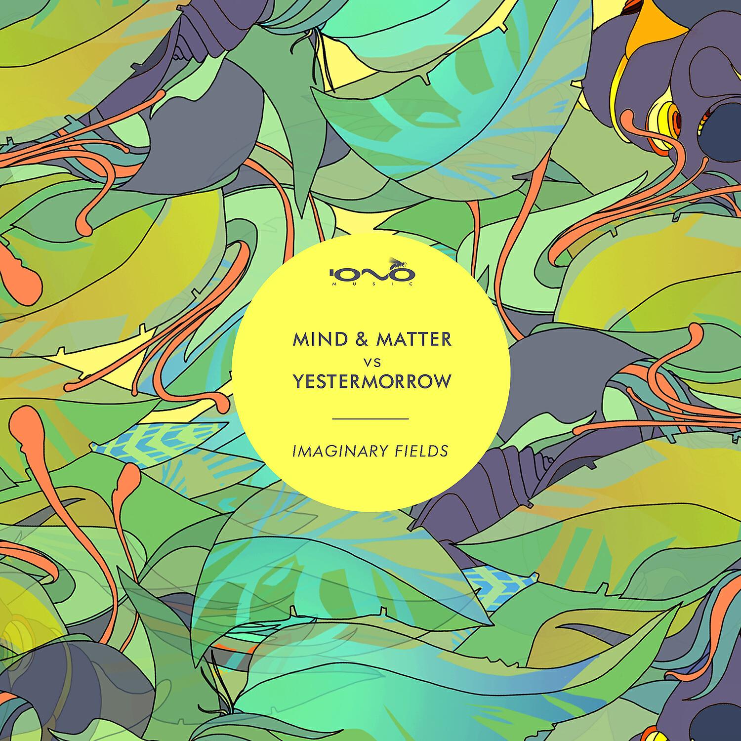 Релиз Imaginary Fields