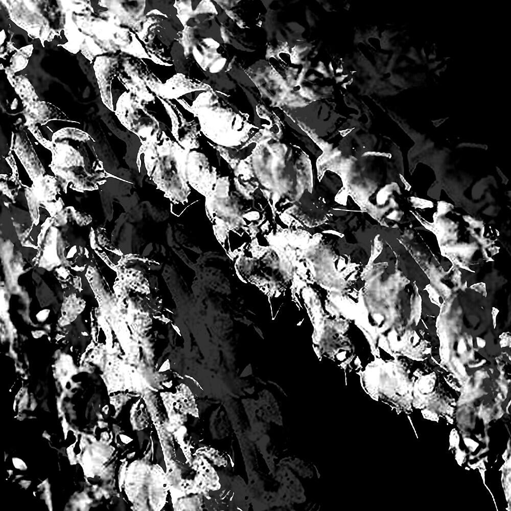 Релиз Garden of skeletons