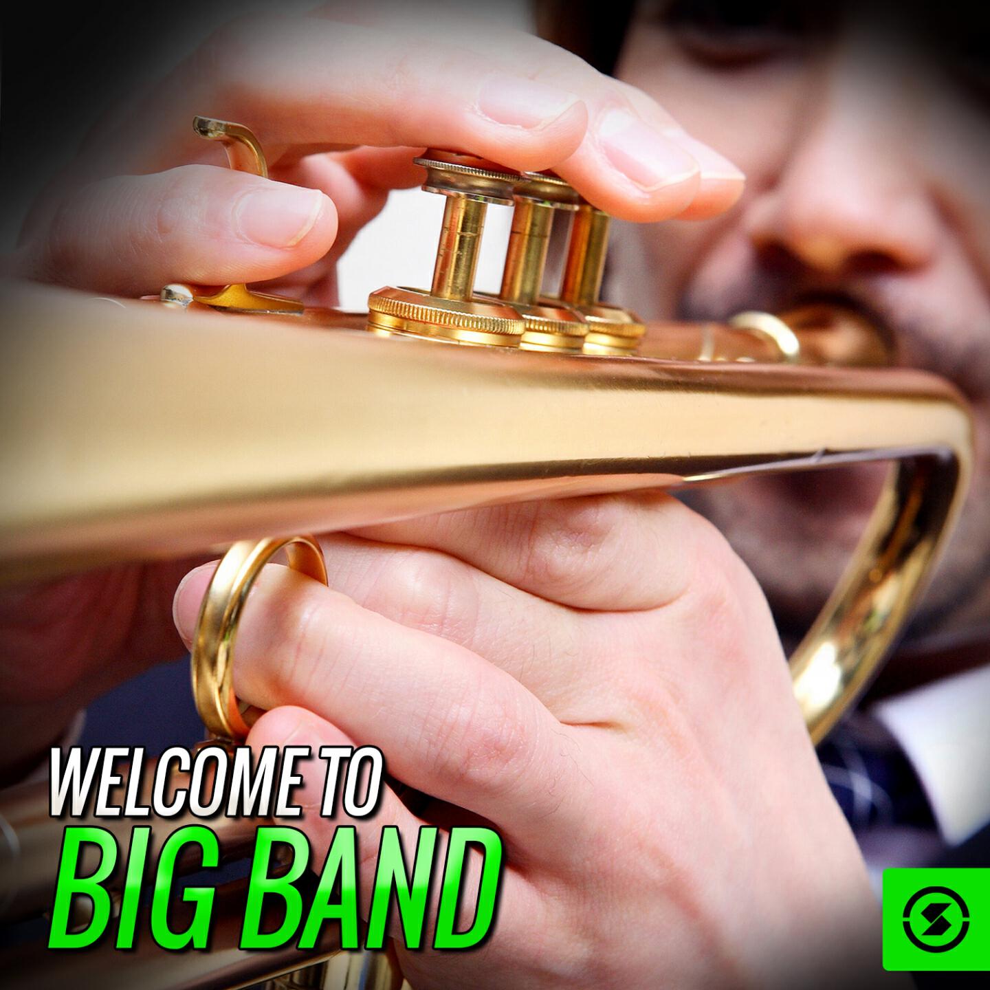 Релиз Welcome to Big Band