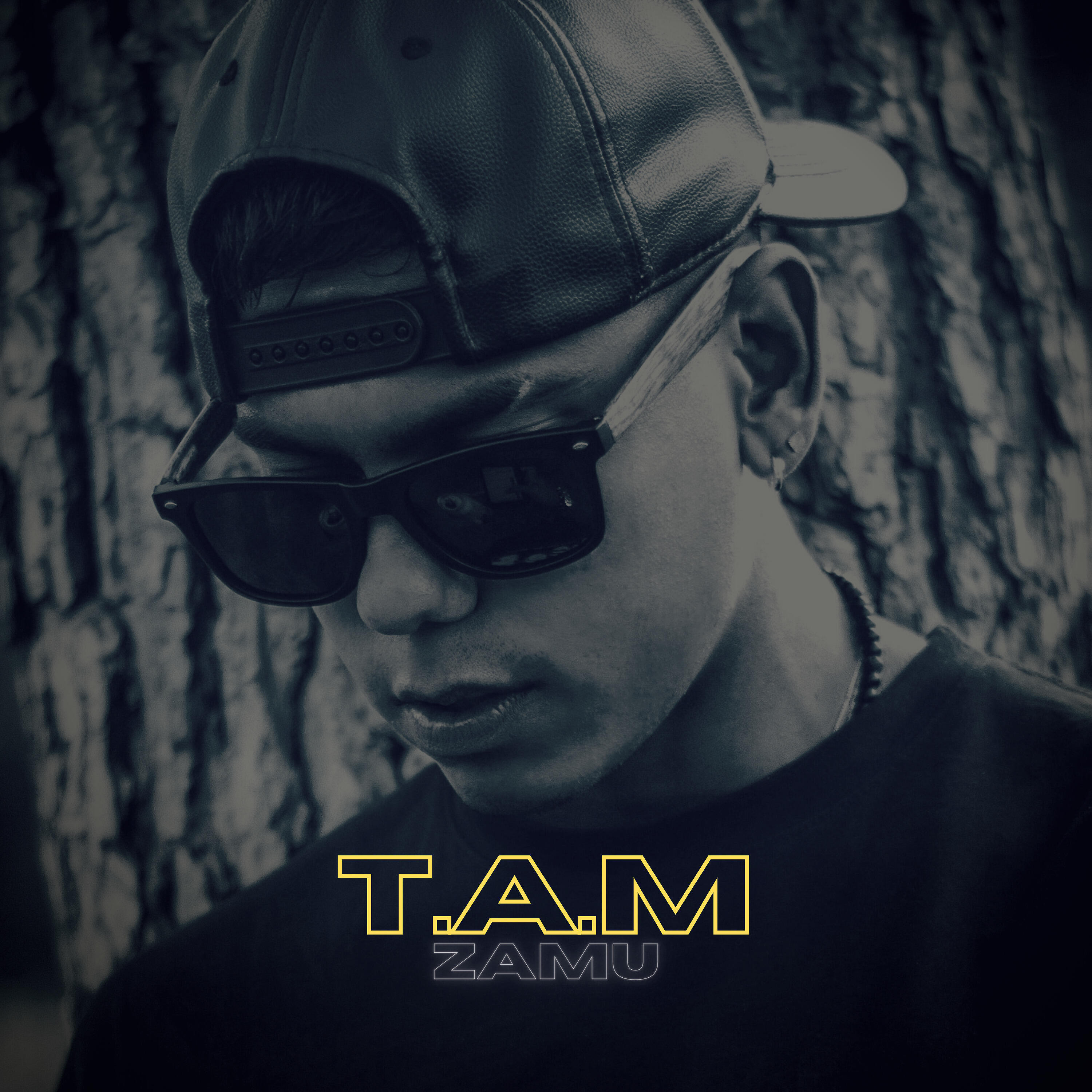 Релиз T.A.M