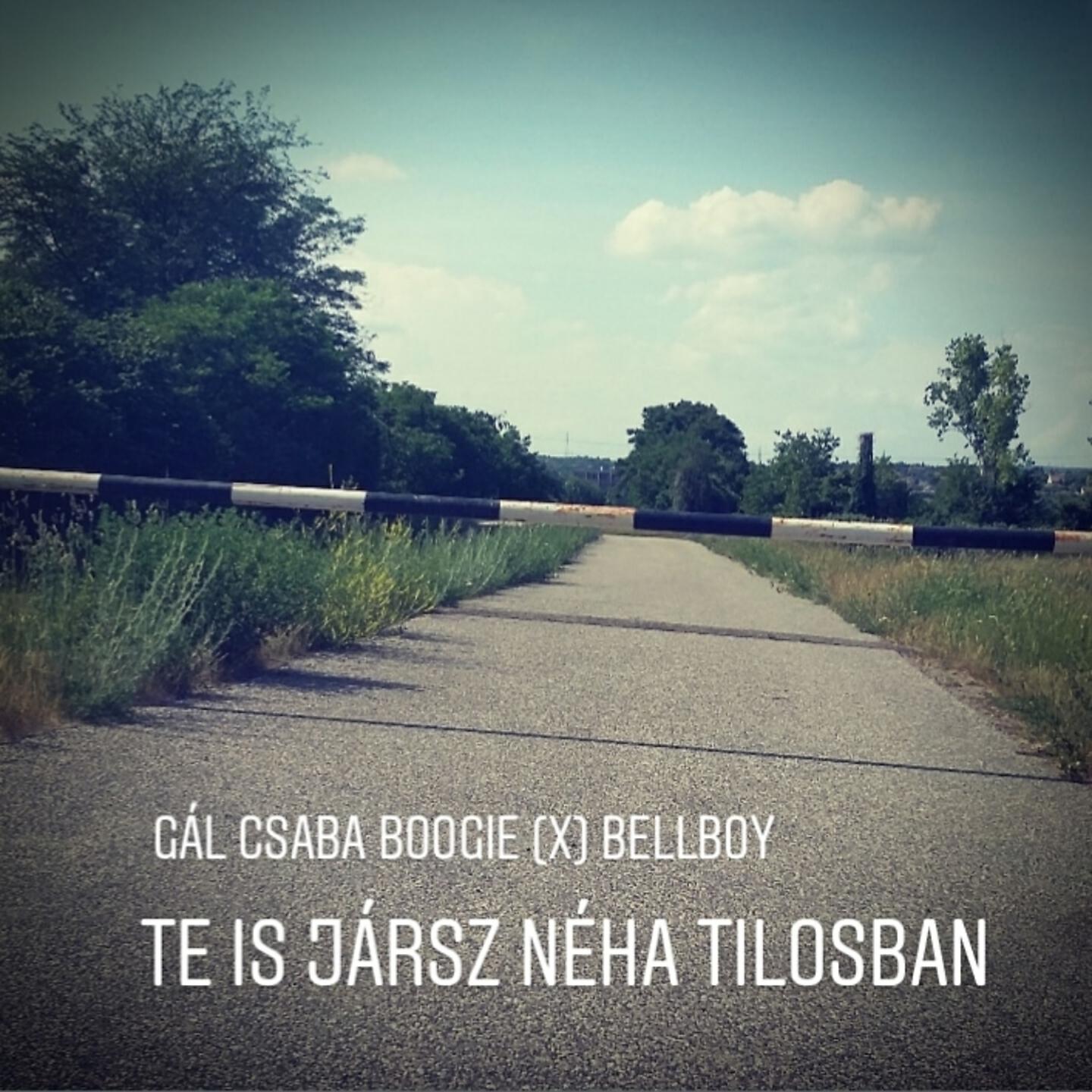 Релиз Te is jársz néha tilosban