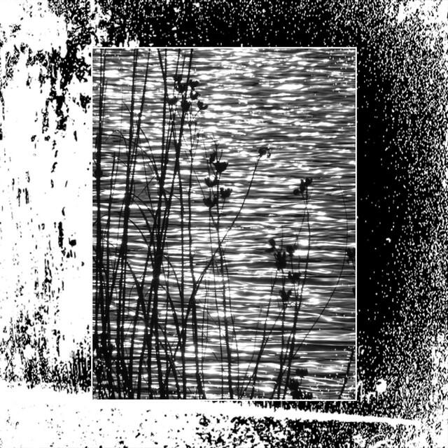 Релиз death