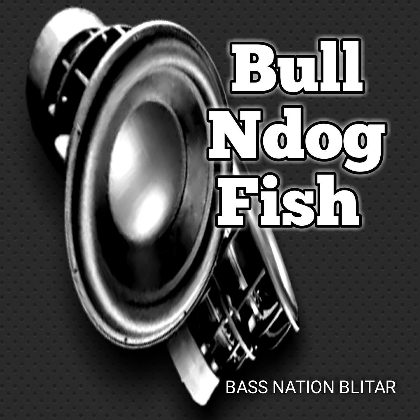 Релиз Bull Ndog Fish