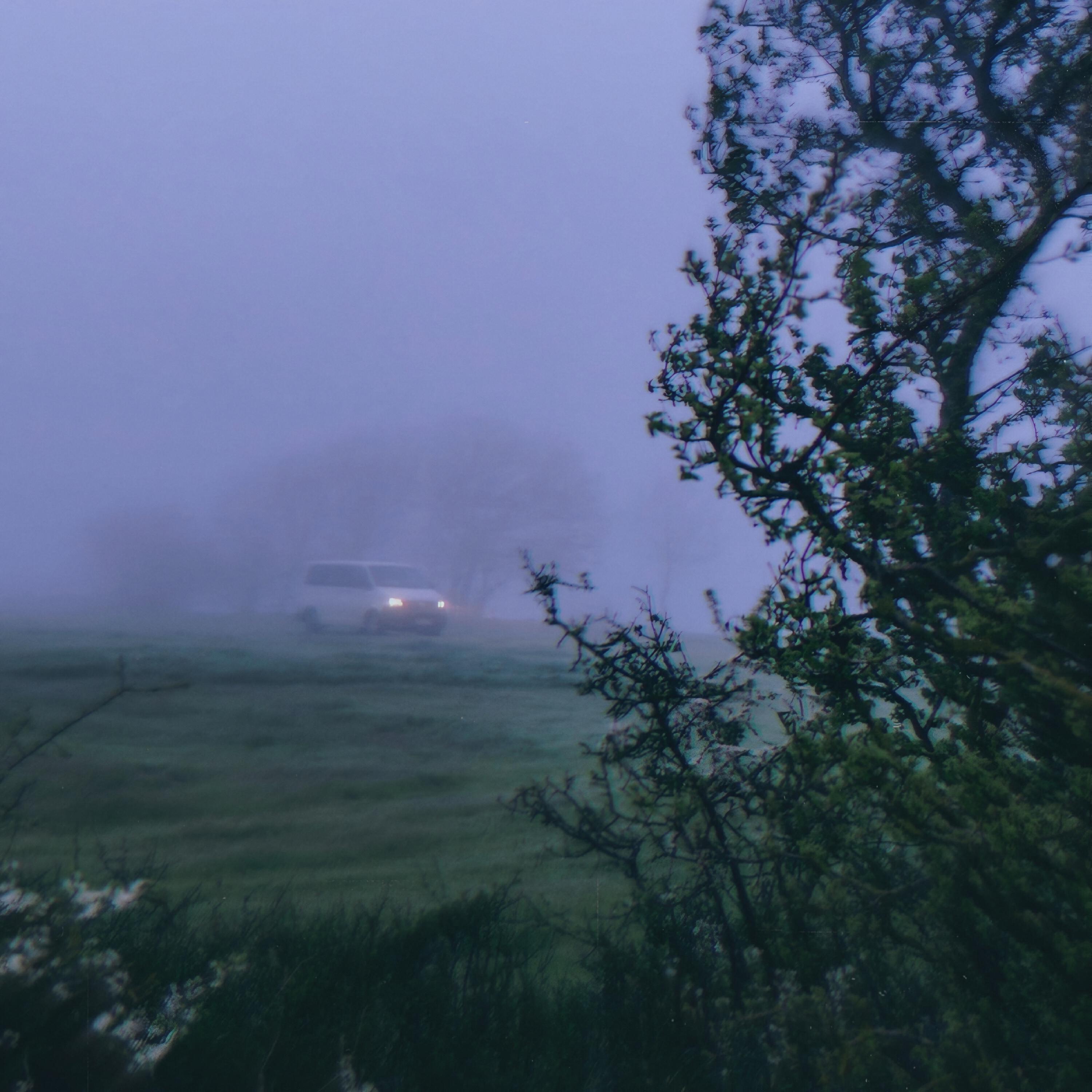 Релиз Seasonal Cycle