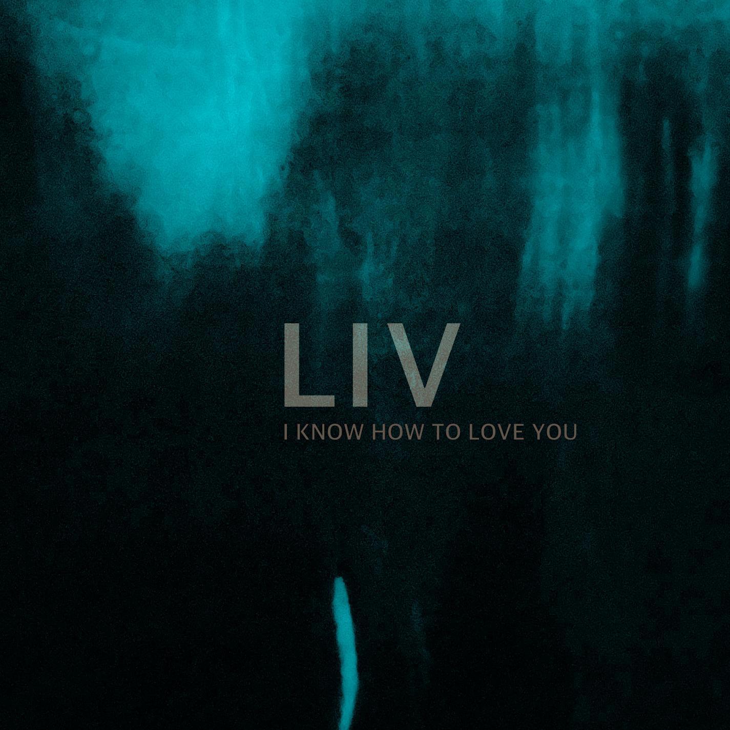 Релиз I Know How to Love You