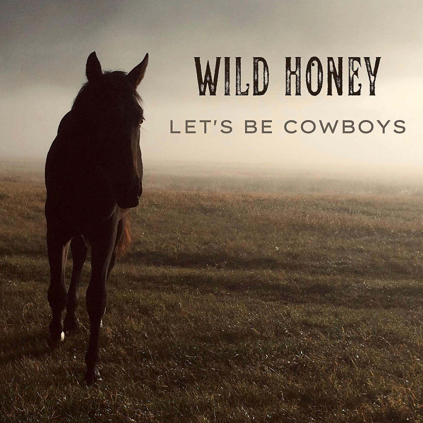 Релиз Let's Be Cowboys
