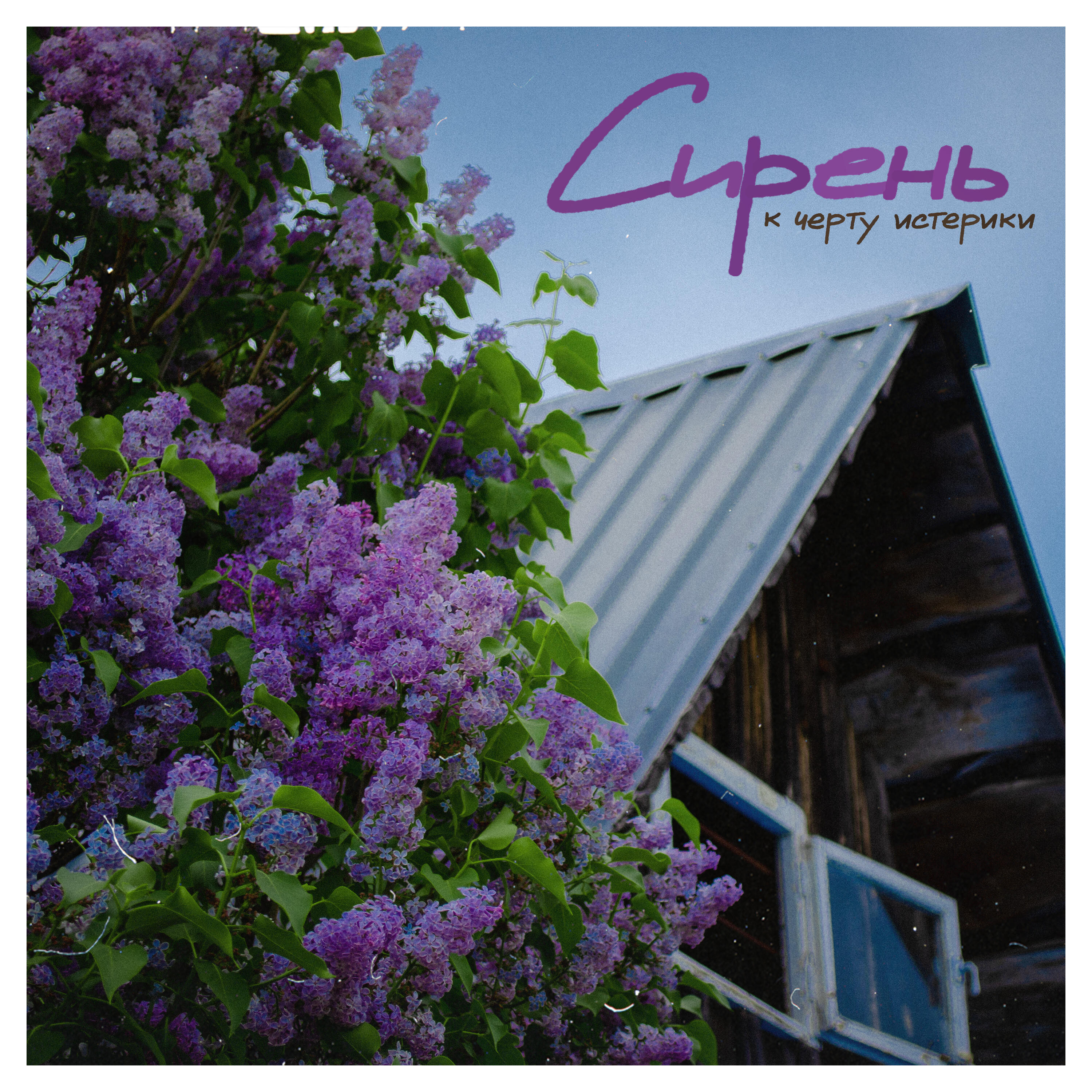 Релиз Сирень