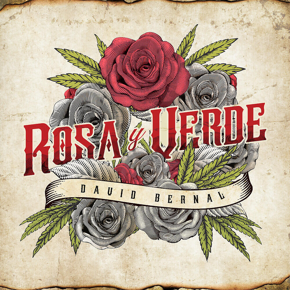 Релиз Rosa y Verde