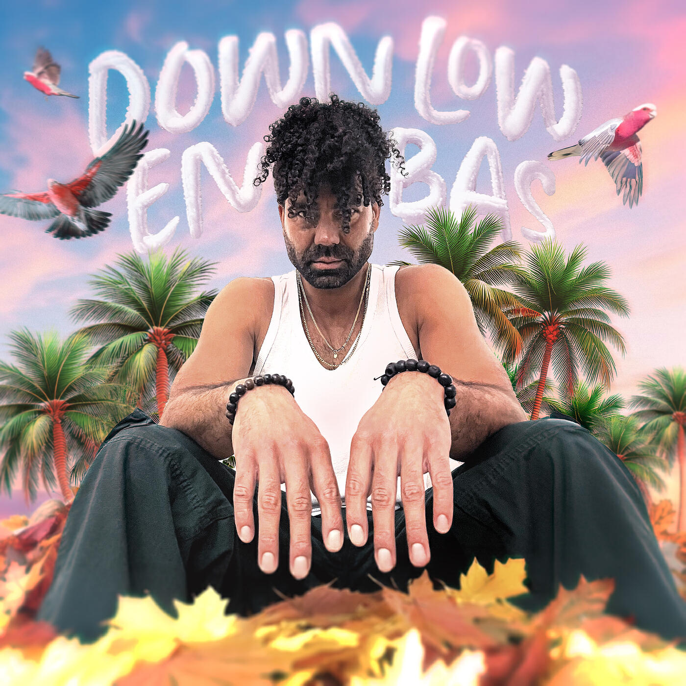 Релиз Down Low En Bas