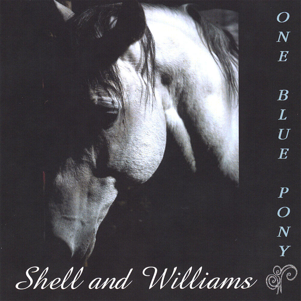 Релиз One Blue Pony