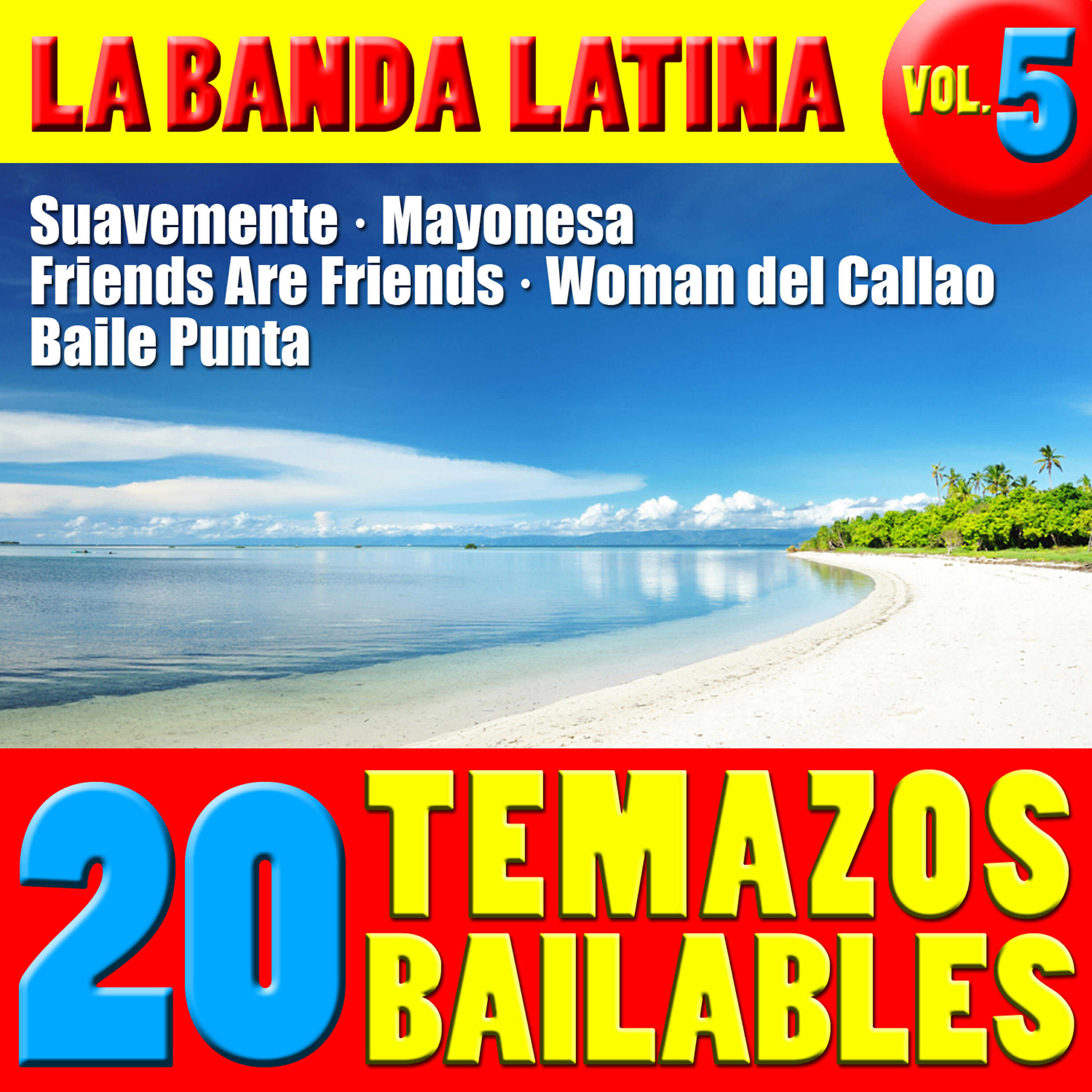 Релиз 20 Temazos Bailables Vol. 5