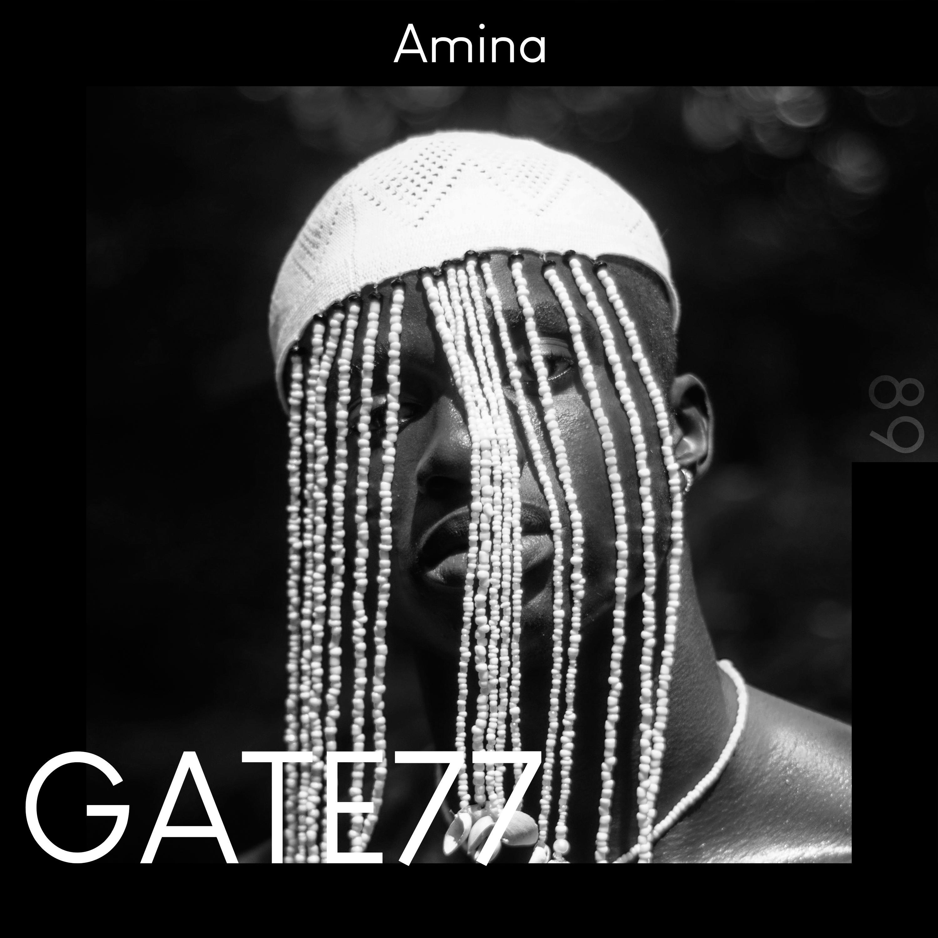 Релиз Amina