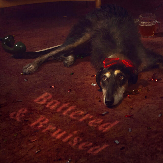 Релиз Battered & Bruised