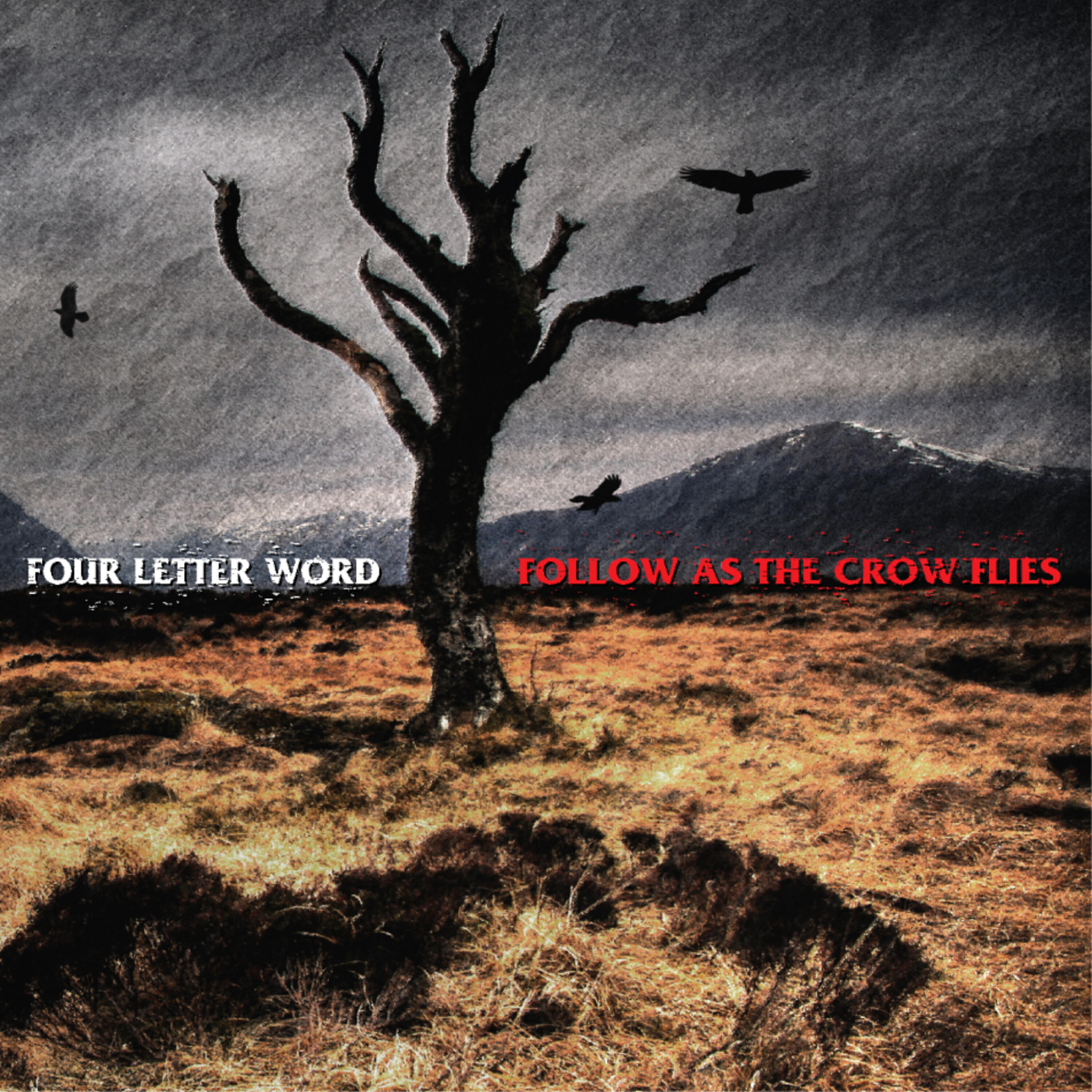 Релиз Follow As The Crow Flies