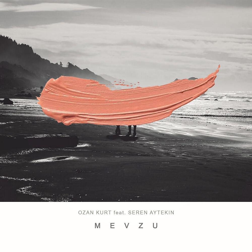 Релиз Mevzu