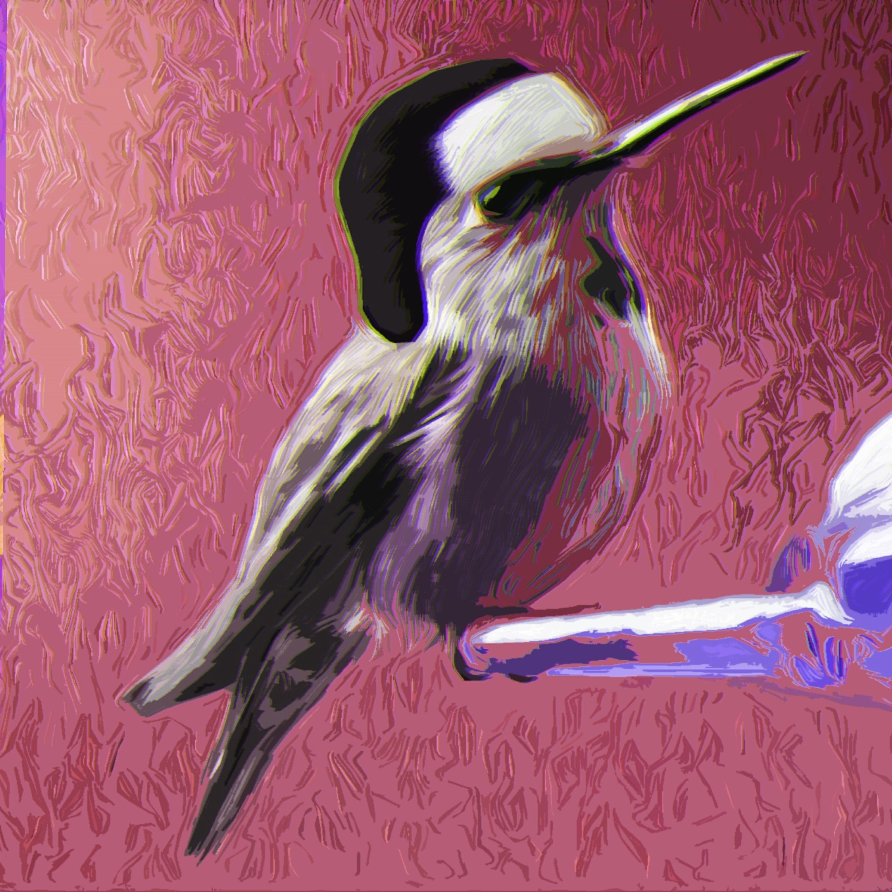 Релиз Little Birds With Hats