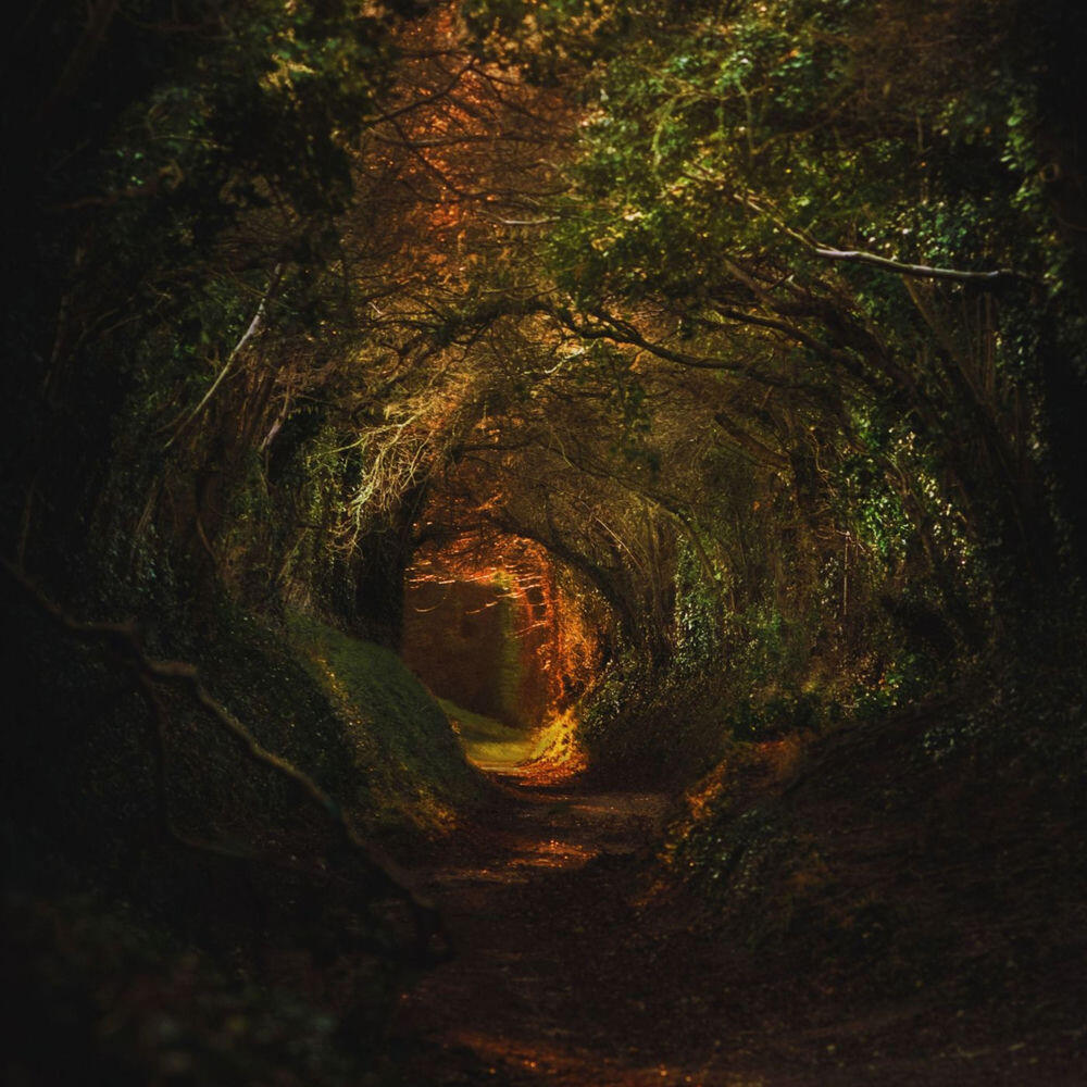 Релиз Gollum's Song (from 'Lord of the Rings')