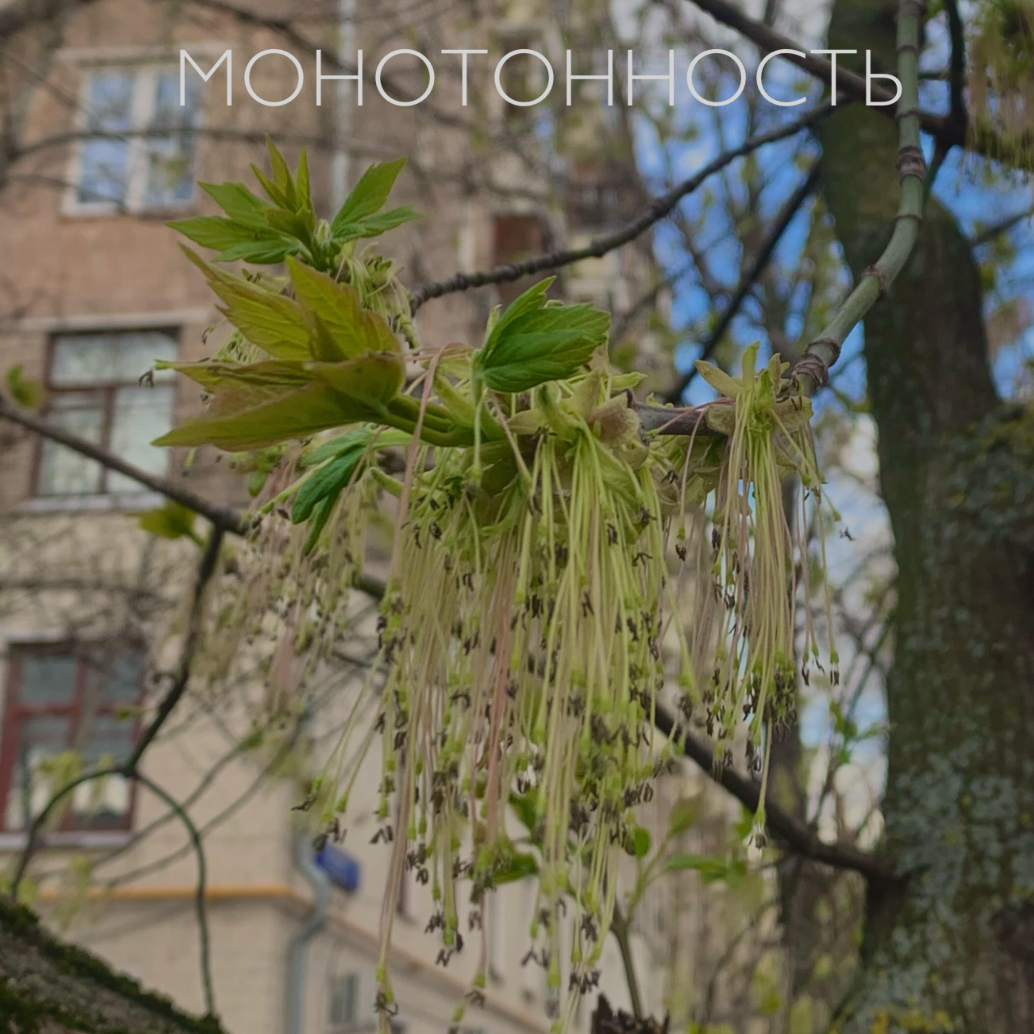 Релиз Воспоминания