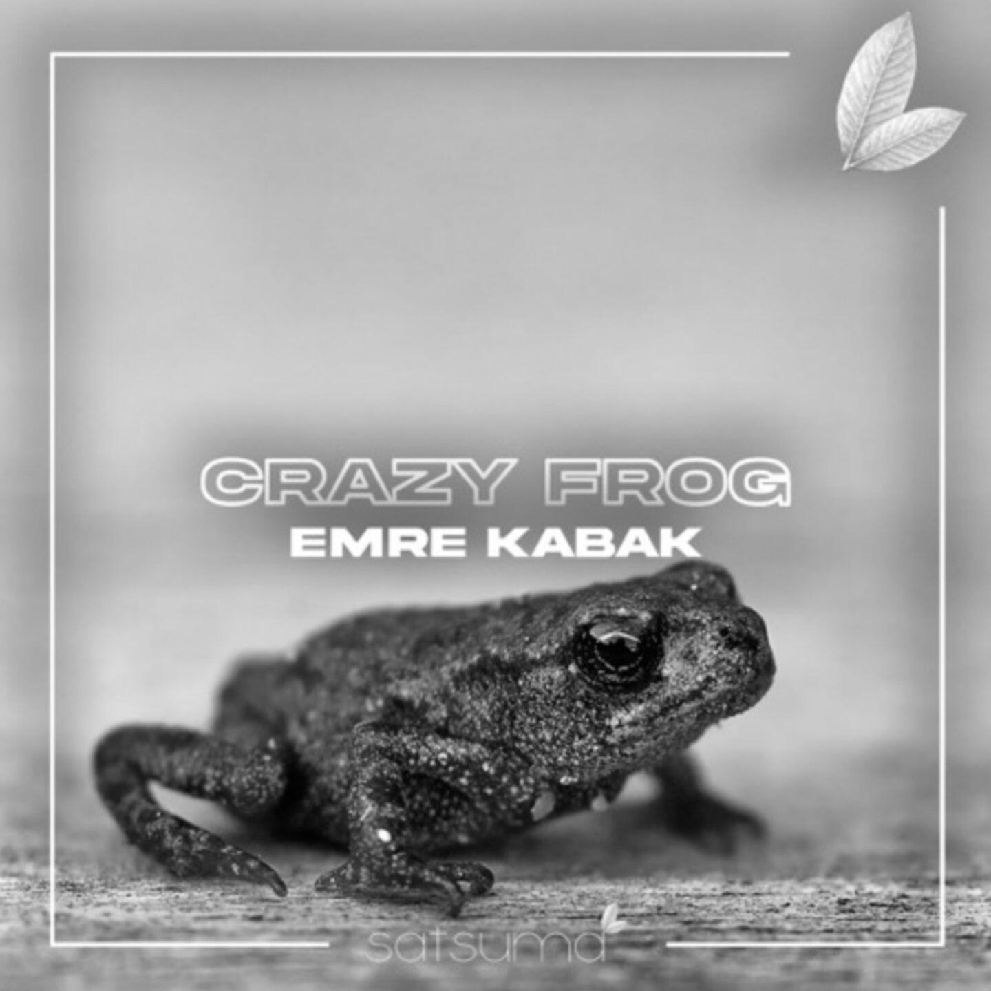 Релиз Crazy Frog