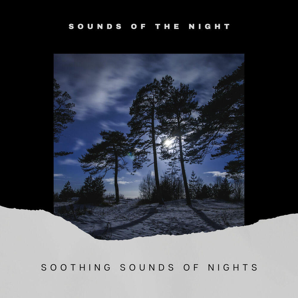 Релиз Soothing Sounds of Nights