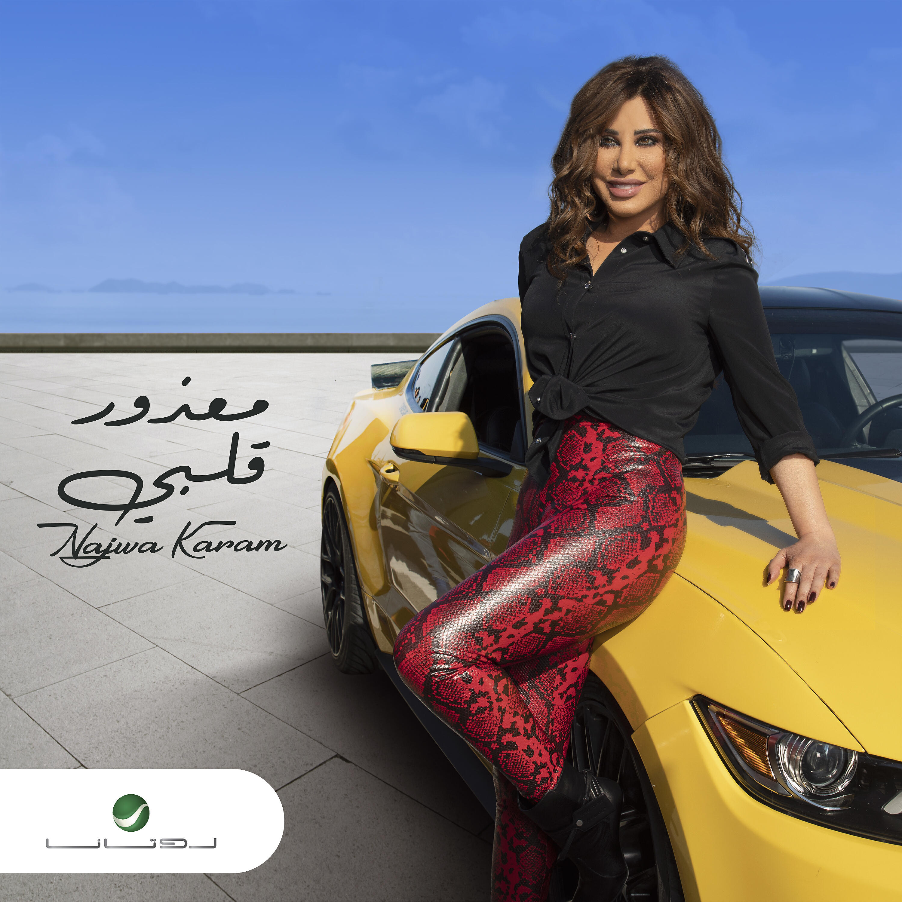 Релиз Maazour Albi