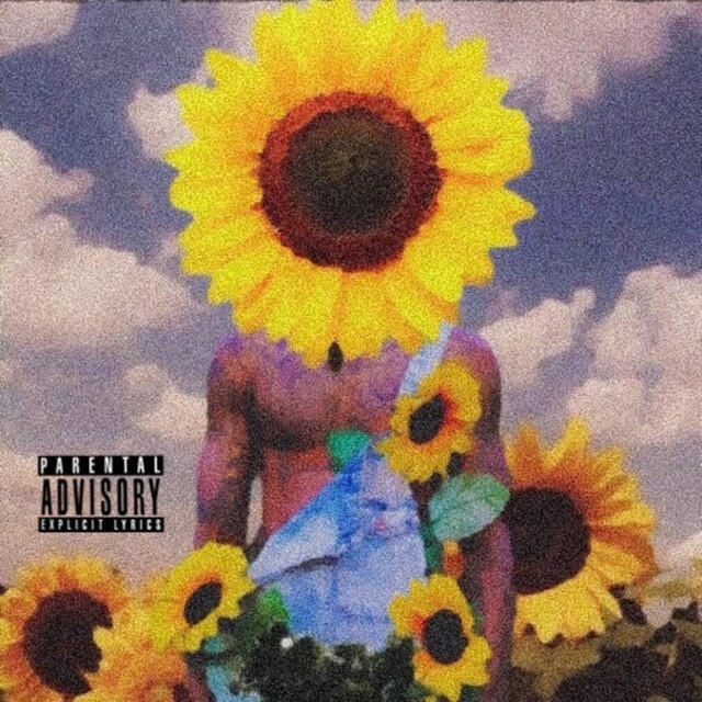Apollo-Sol