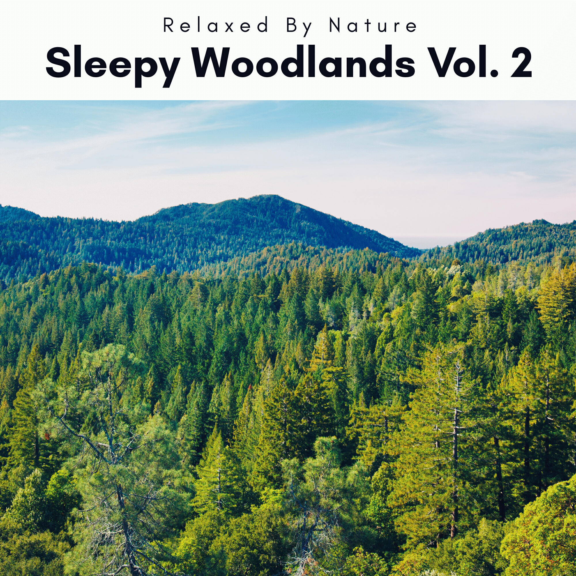 Релиз 2022 Sleepy Woodlands Vol. 2