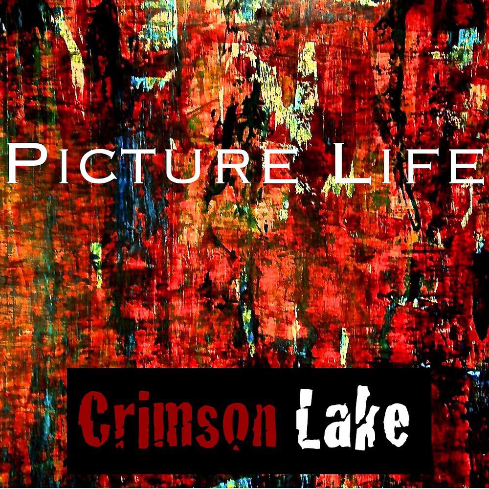 Релиз Picture Life