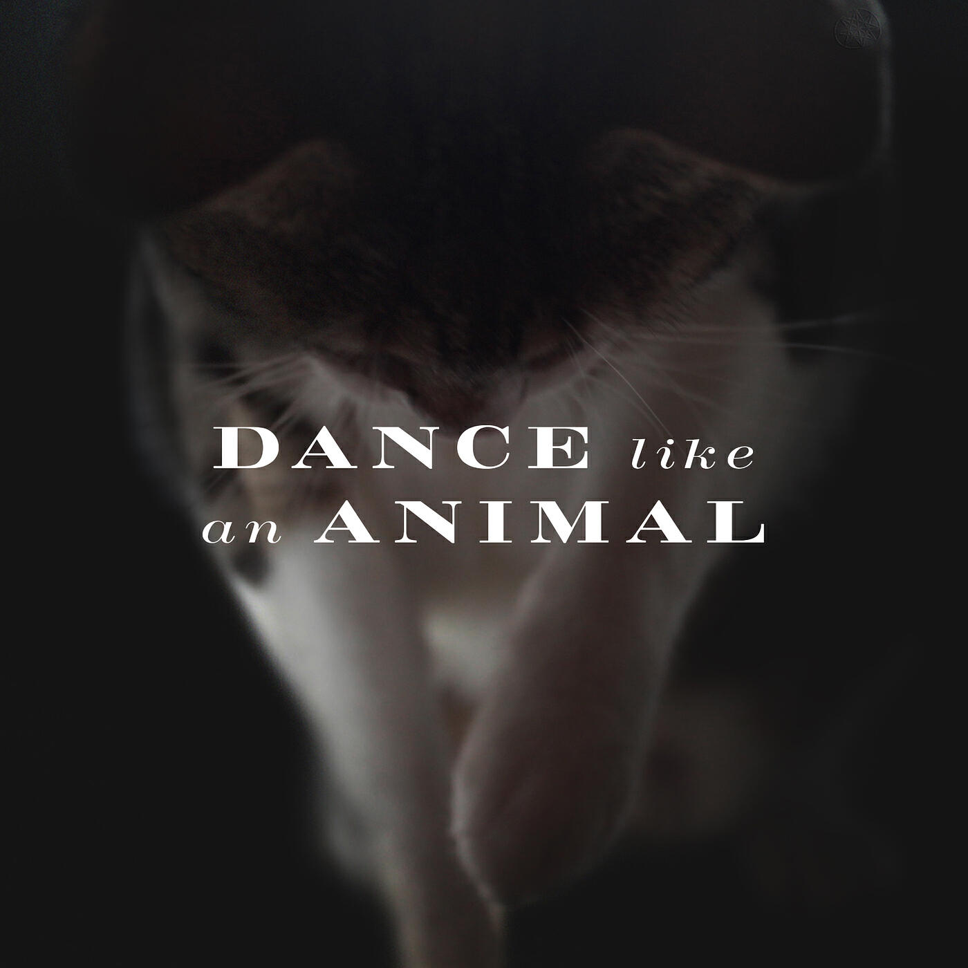 Релиз Dance Like an Animal