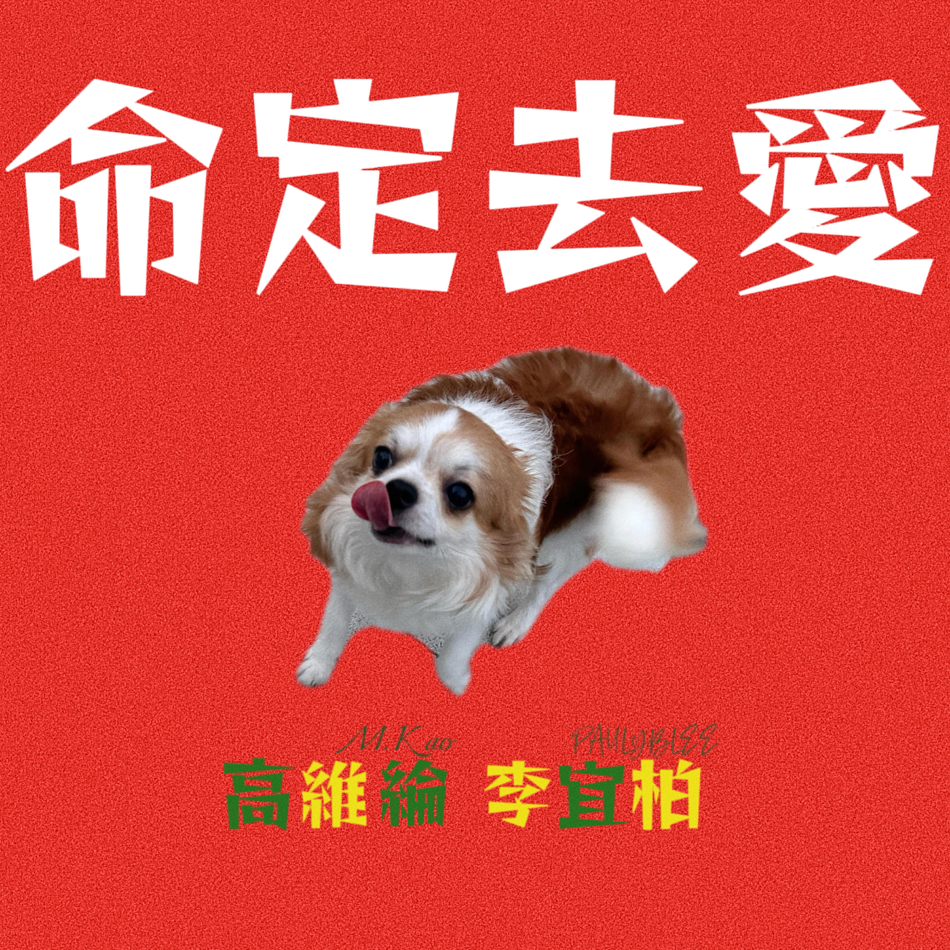 Релиз 命定去愛