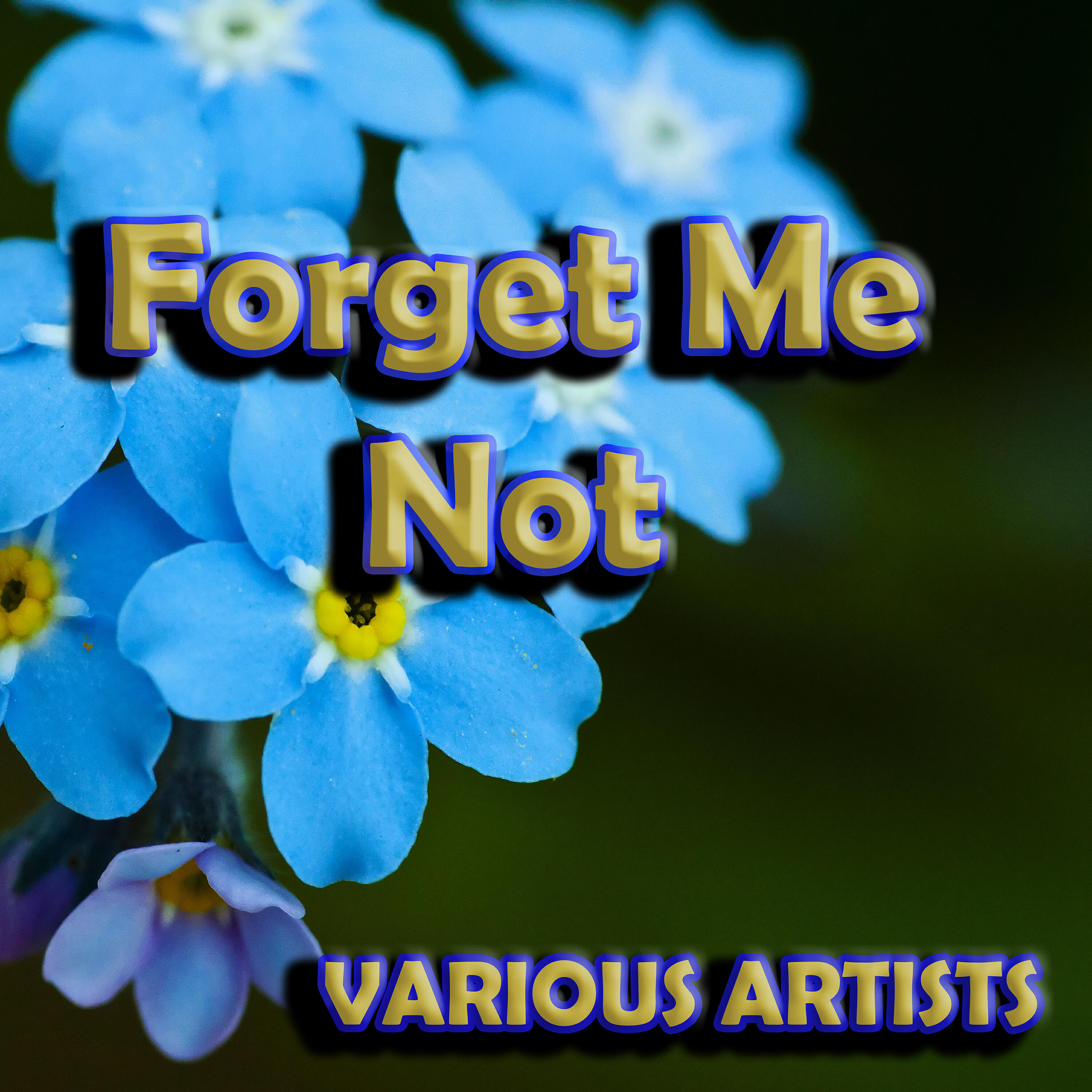 Релиз Forget Me Not