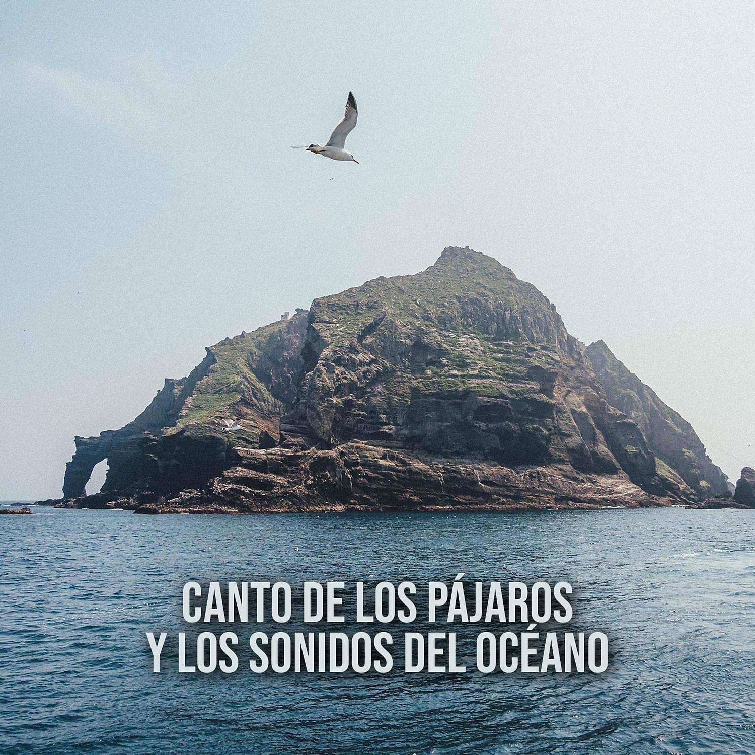 RW Piano, pájaros y sonidos del océano